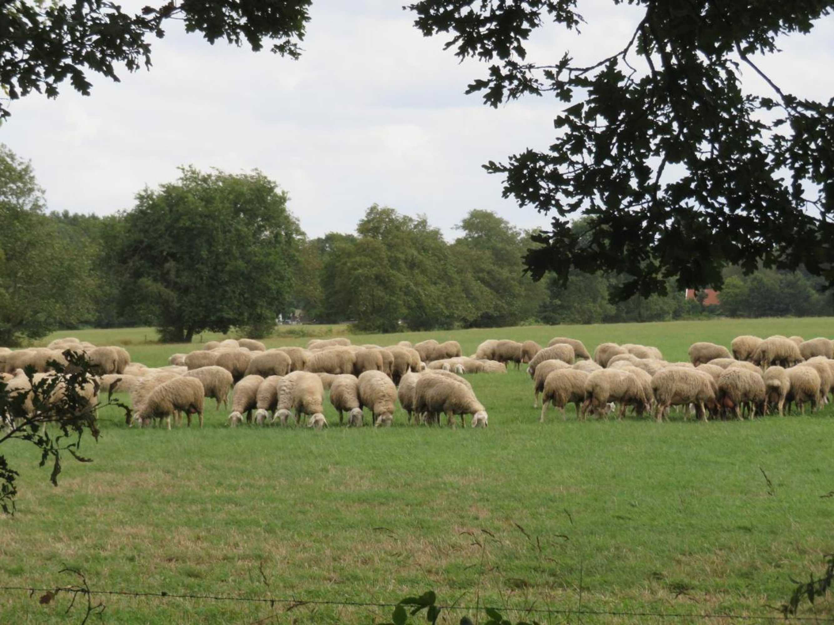 Gift card for B&b Singelstate