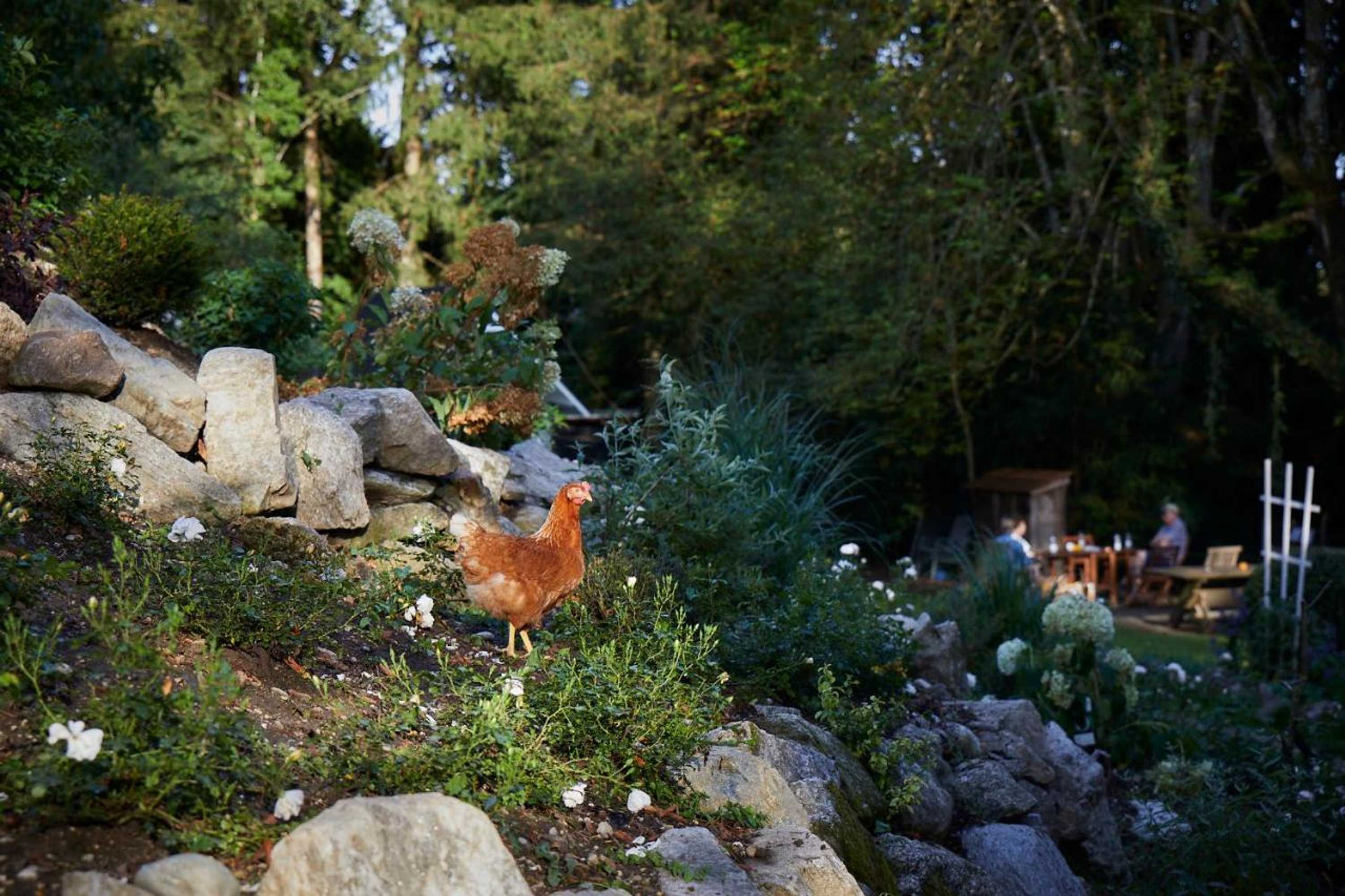 Gift card for Schloss Mörlbach