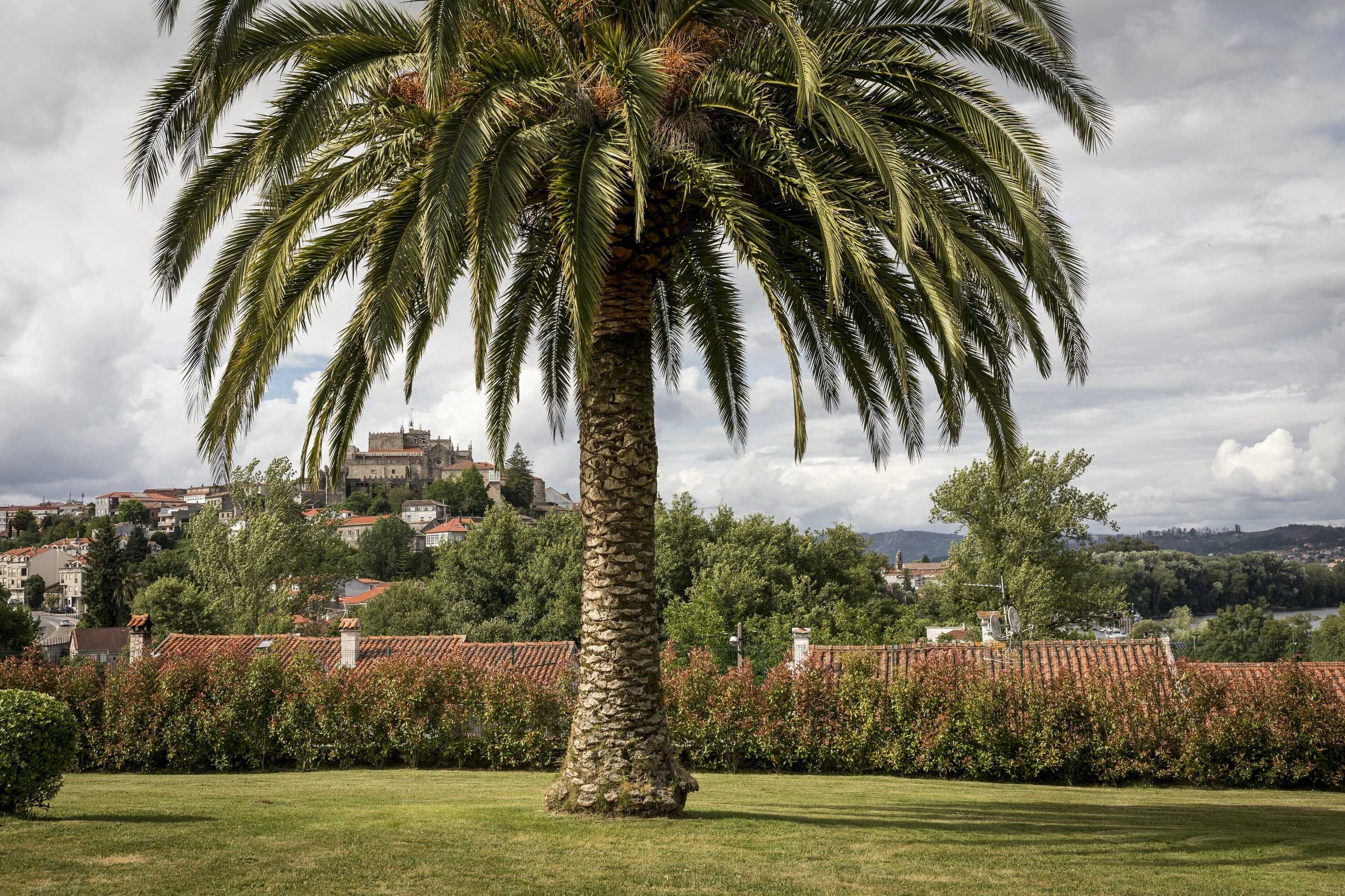 Gift card for Parador De Tui