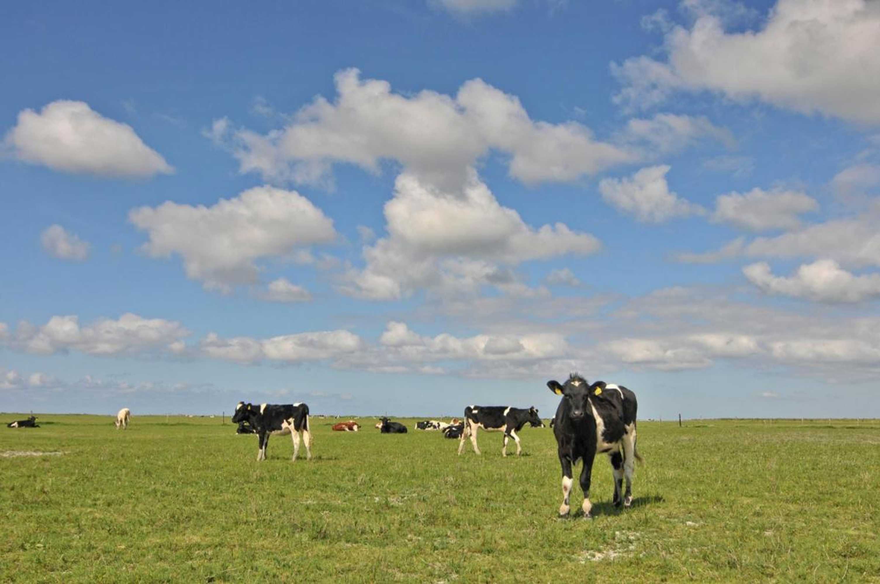 Gift card for Vakantiehuis 't Laaisterplakky Zonder Drempels