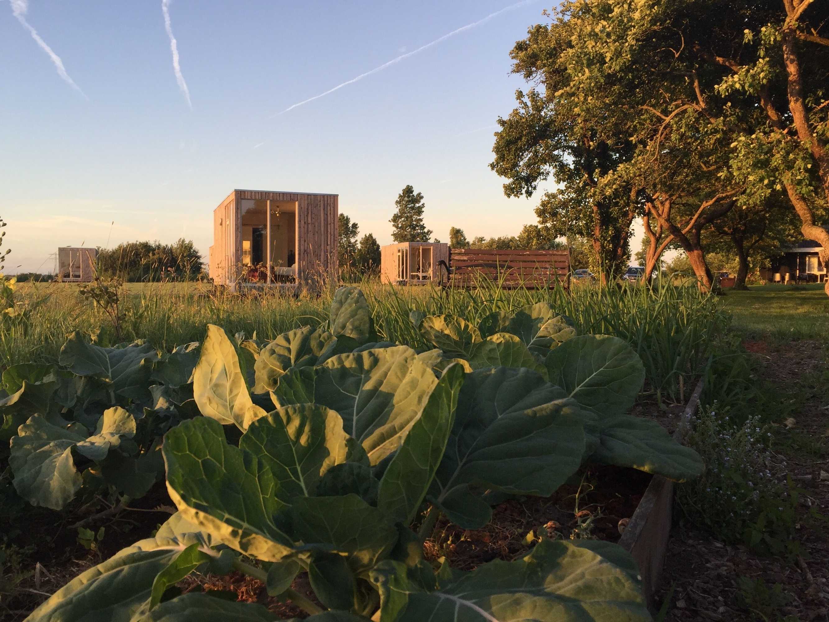 Gift card for Pean-Buiten Weidum