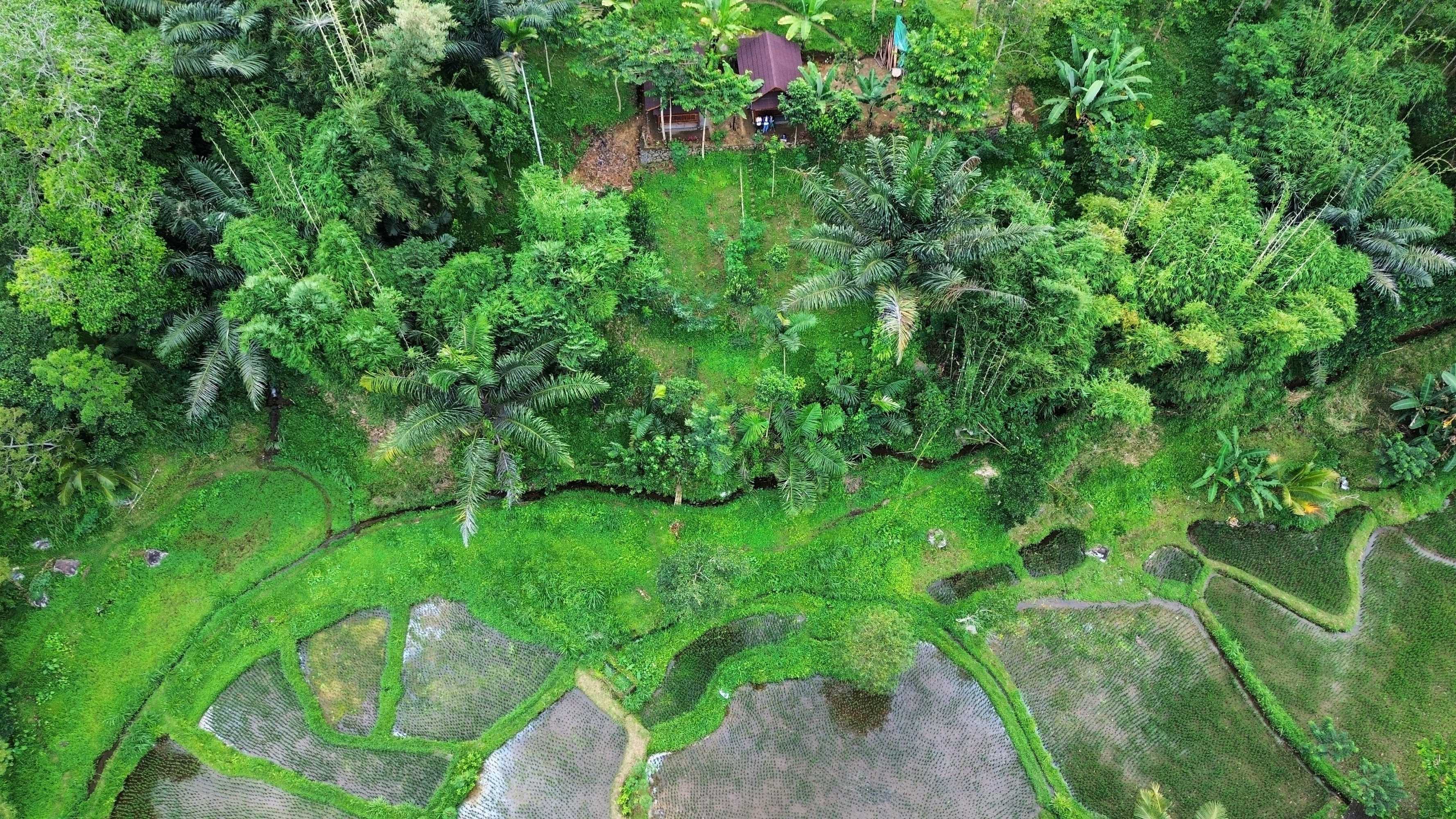 Gift card for Serenity Lodge Tetebatu Lombok