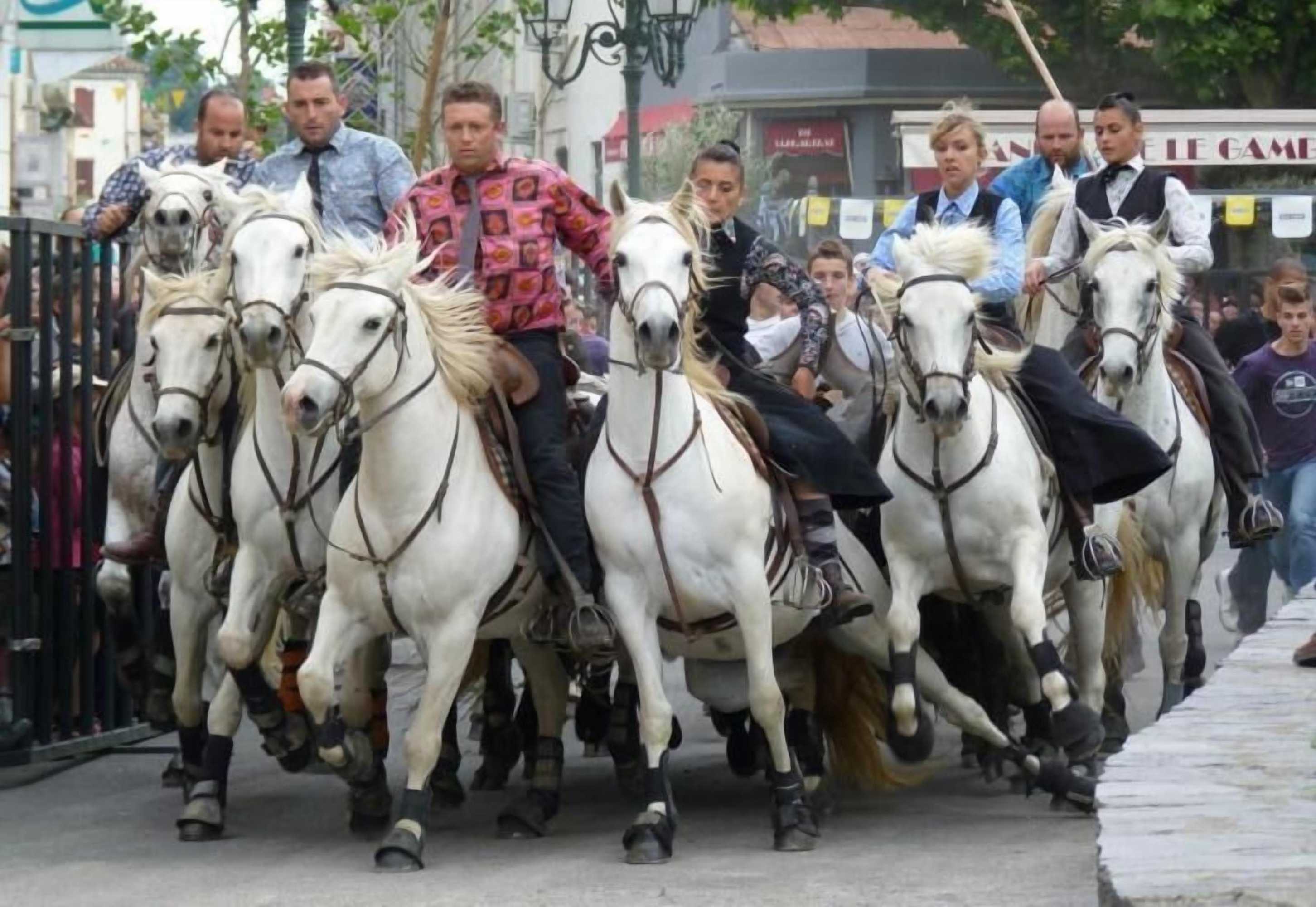 Gift card for Le Louvre, Lieu Atypique