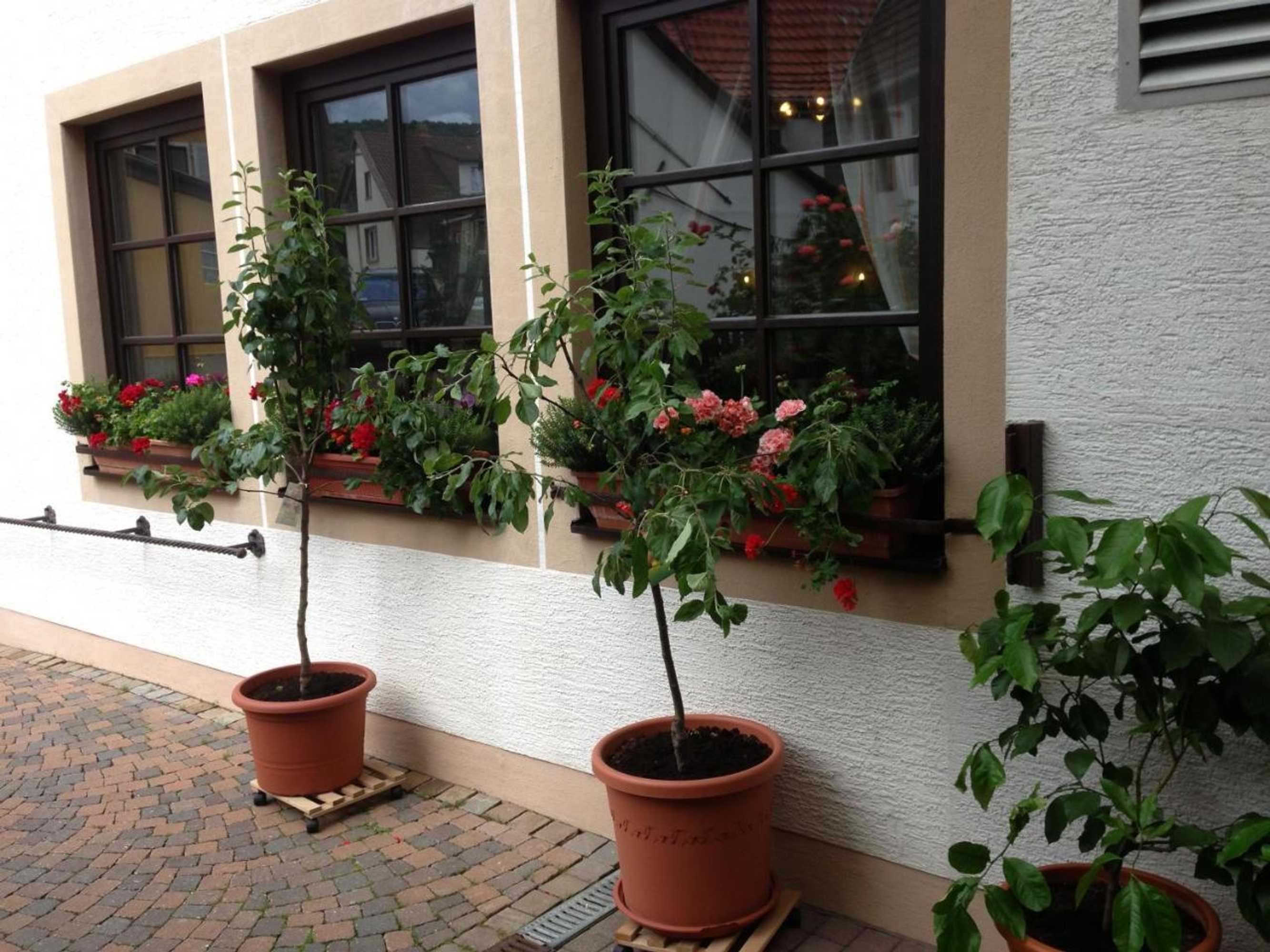 Gift card for Marktschänke