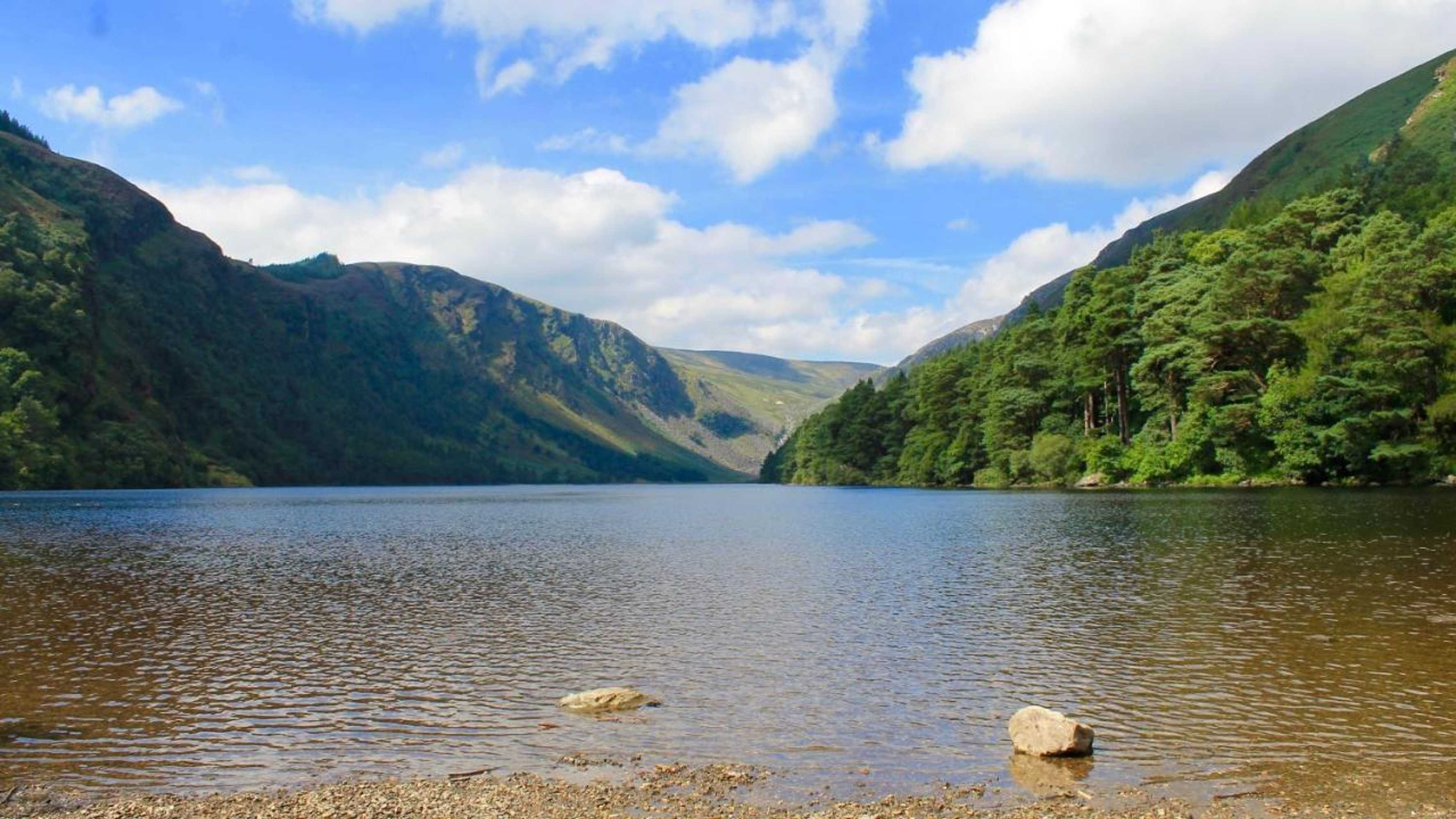 Gift card for The Nook County Dublin