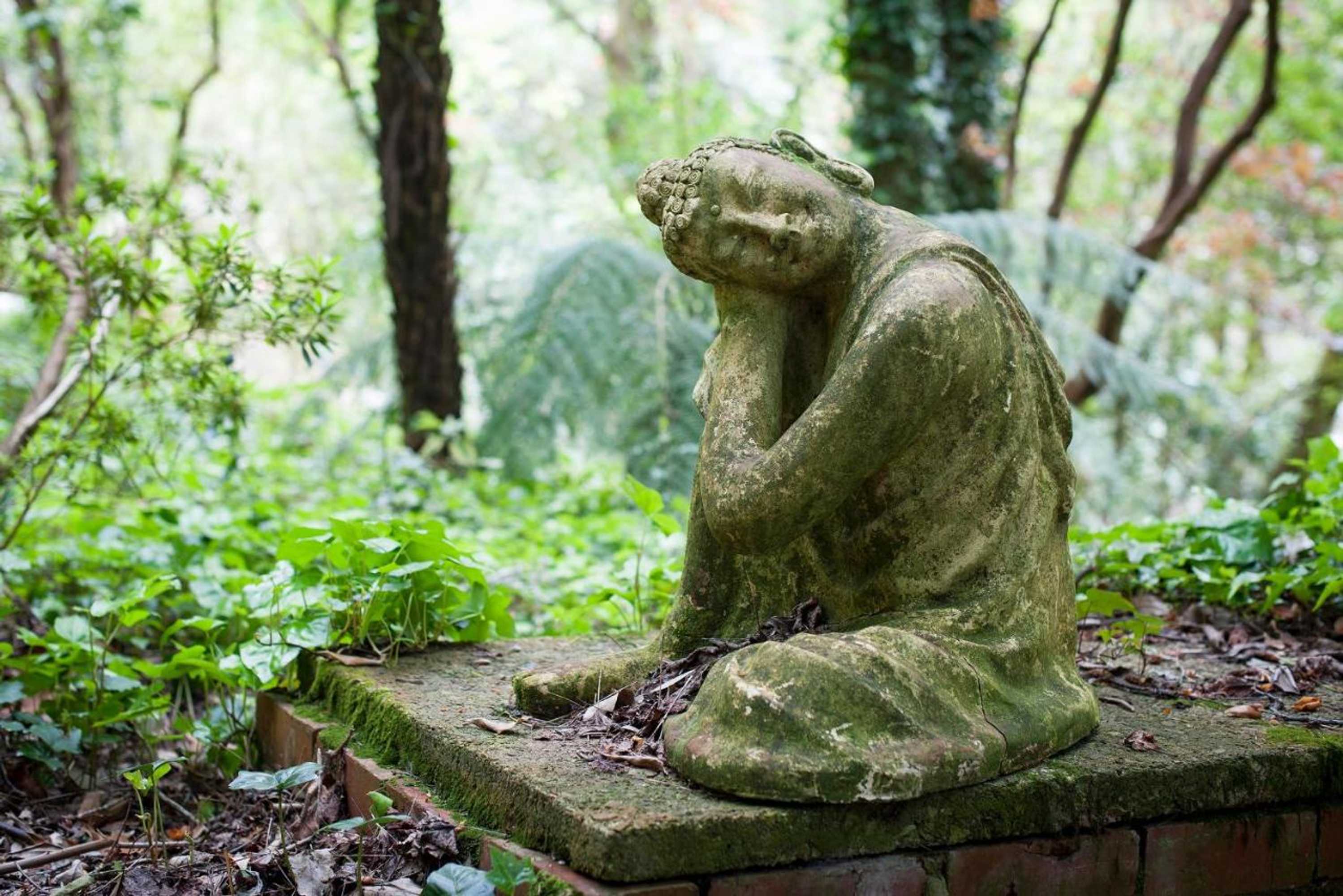 Gift card for Linden Gardens Rainforest Retreat