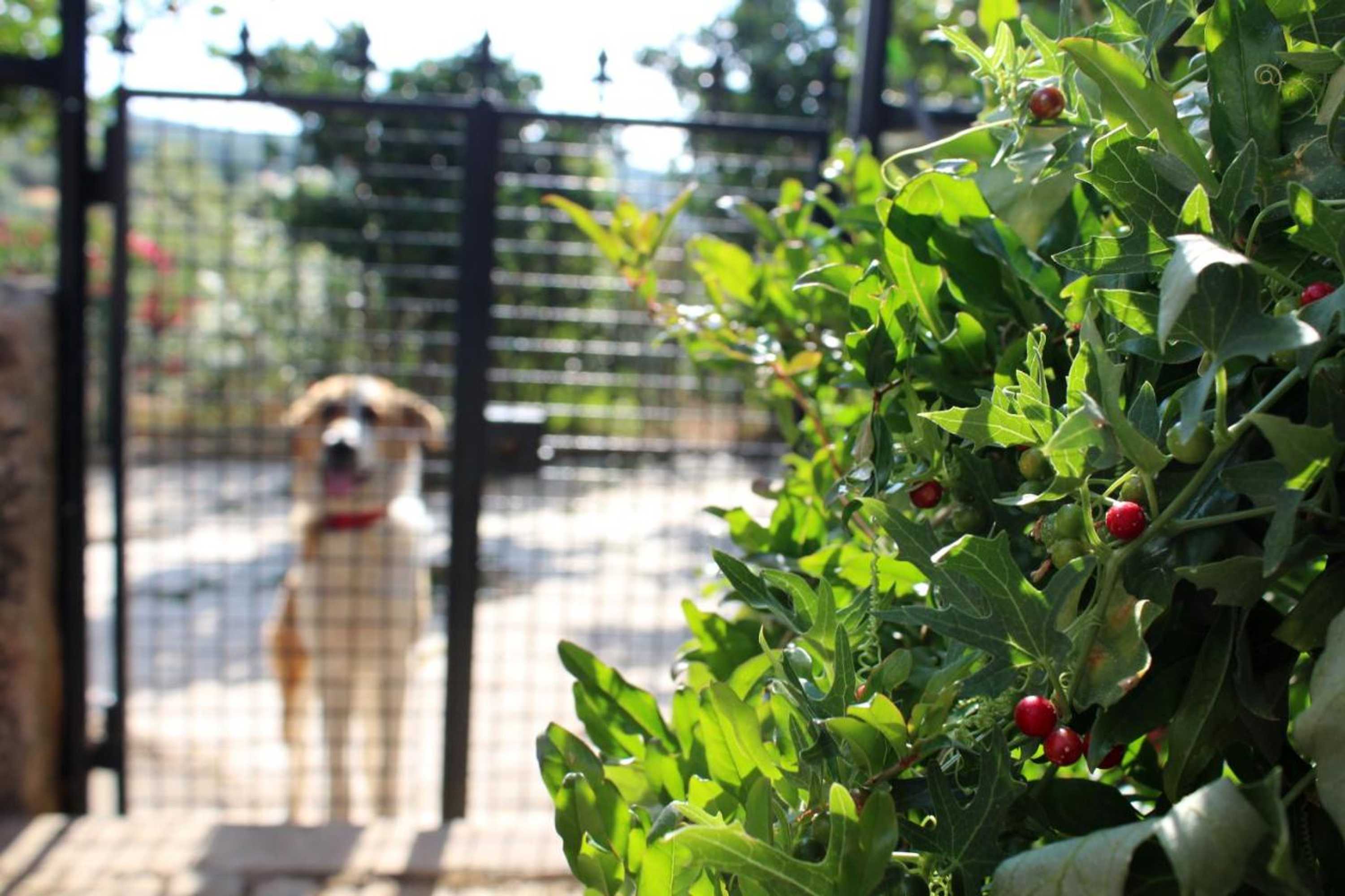 Gift card for Aromas Dos Salgueiros