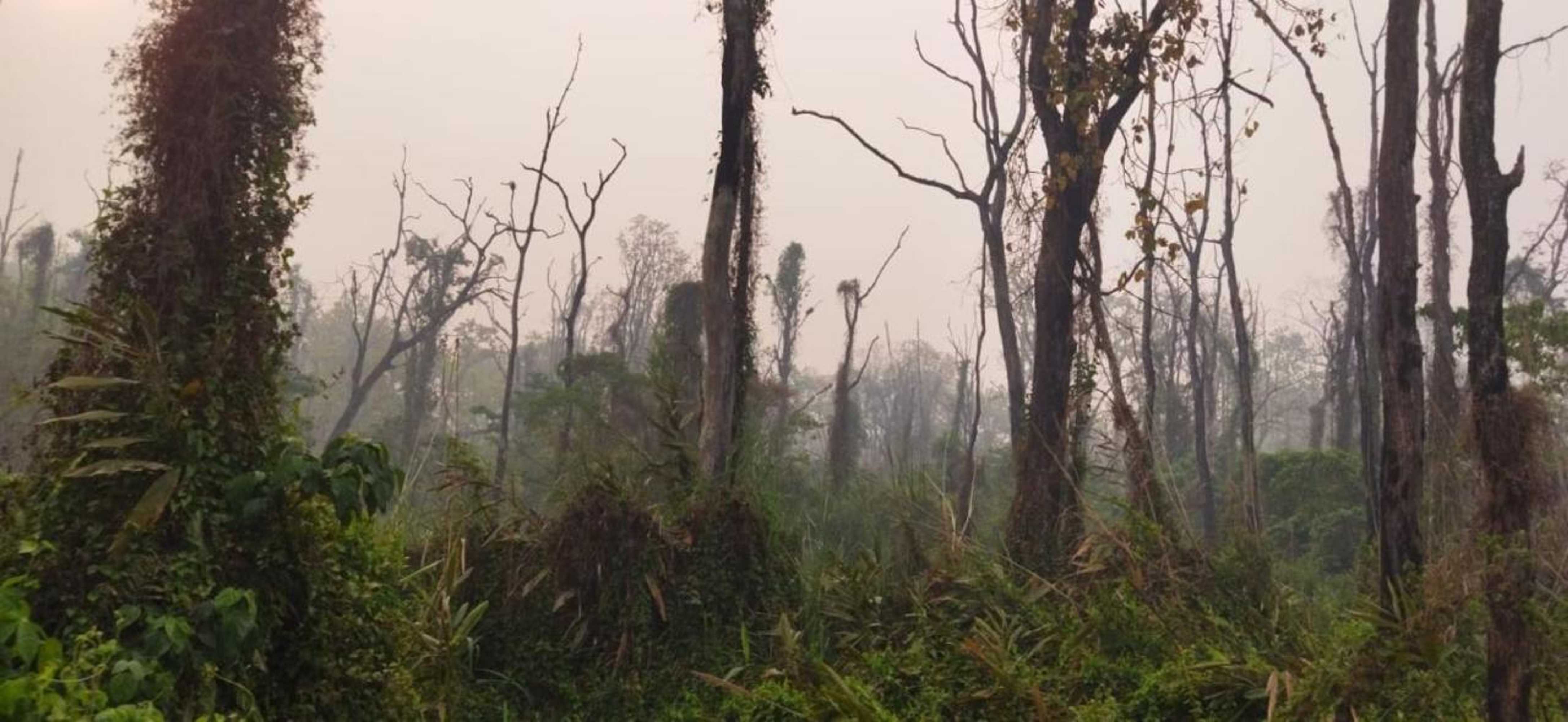 Gift card for Sauraha Holiday Home Riverside