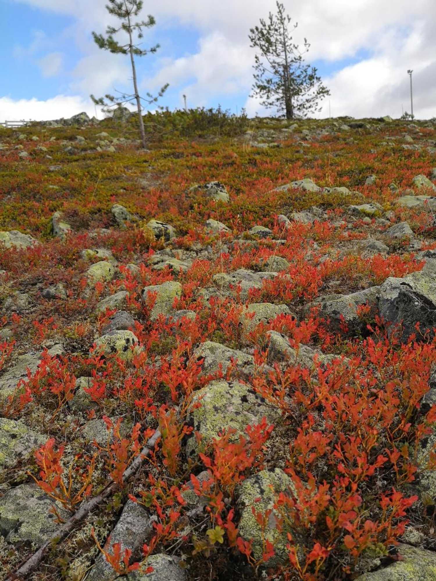 Gift card for Apartment Seita