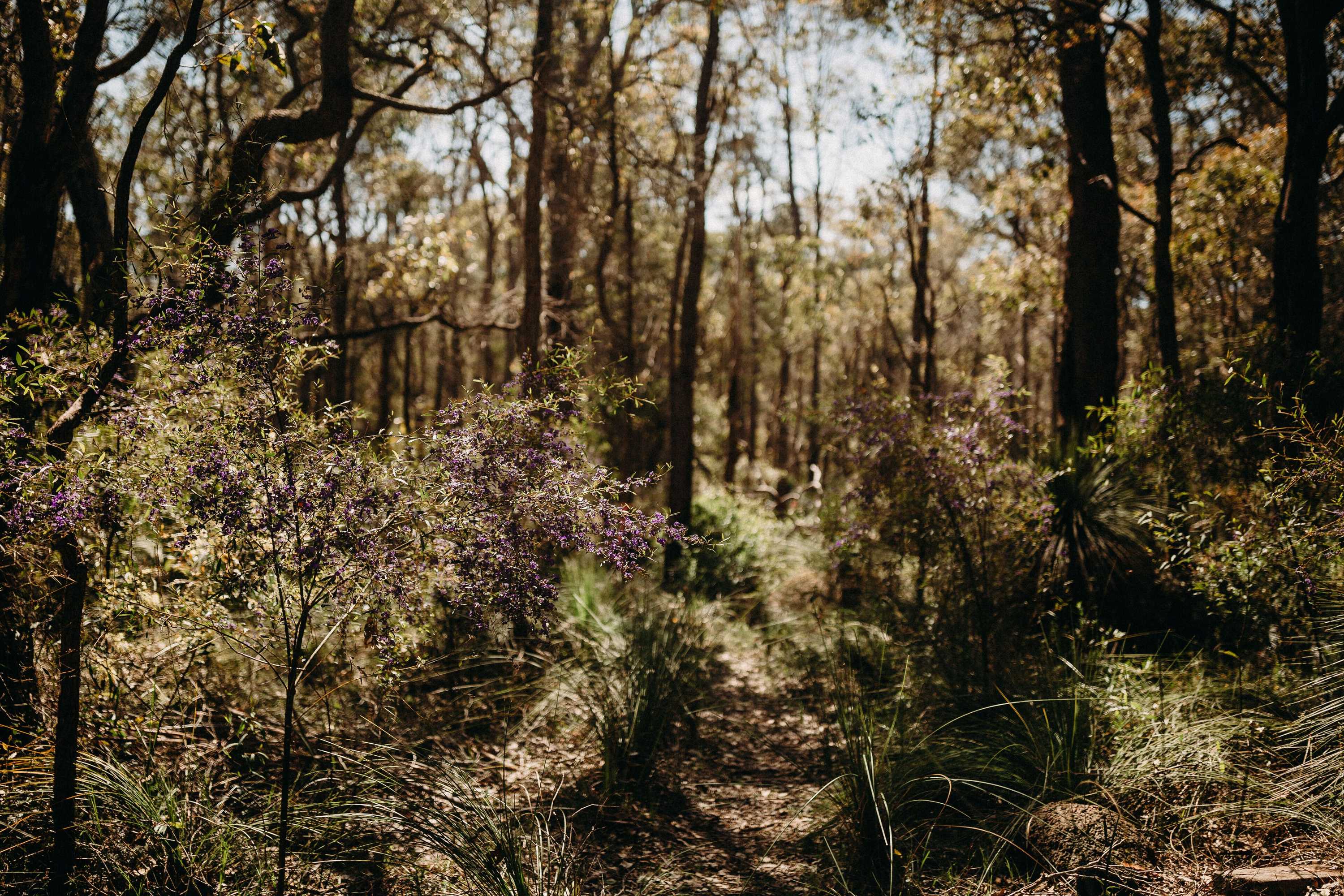 Gift card for Margaret River Holiday Cottages Gift card for Margaret River Holiday Cottages