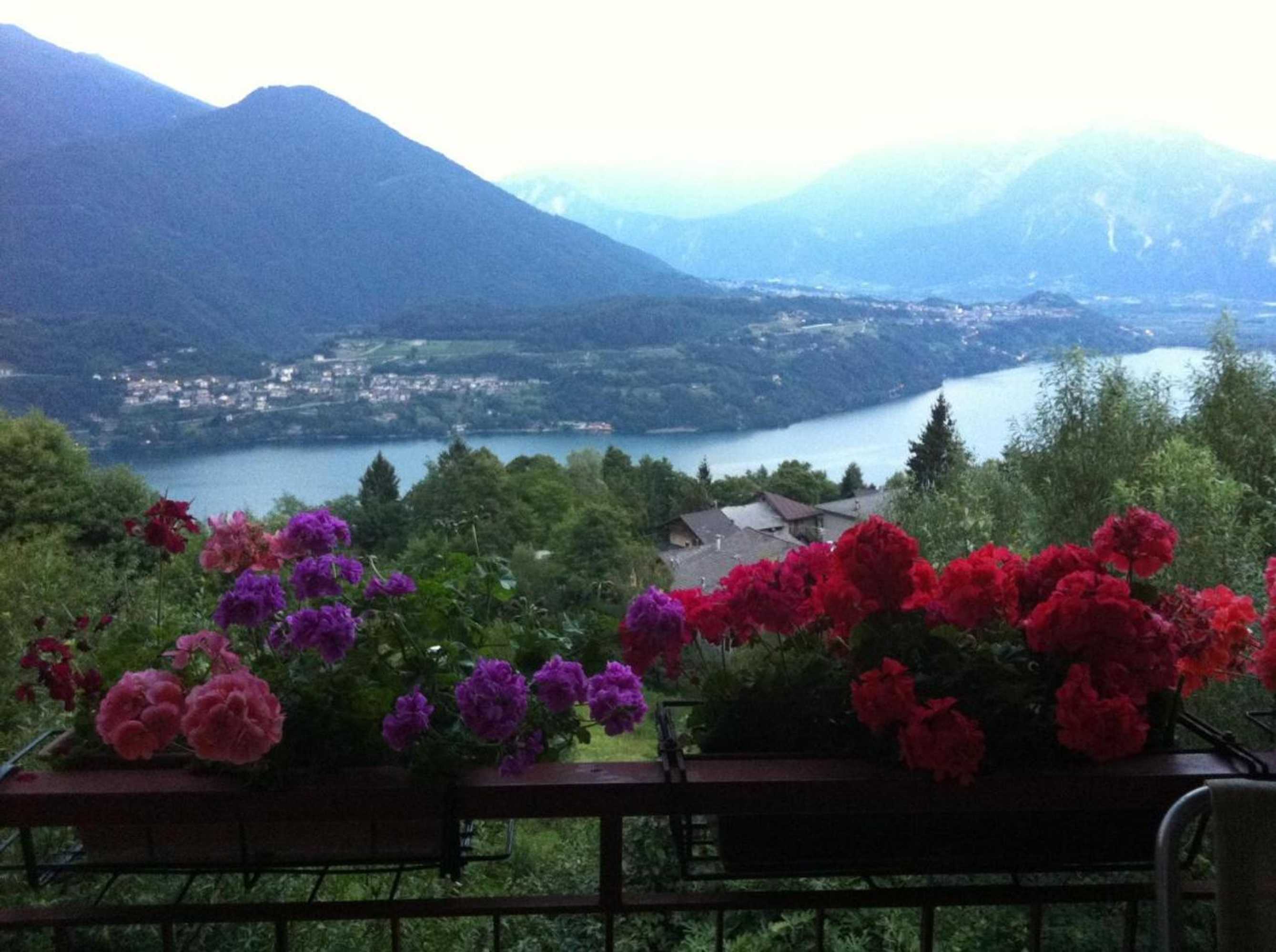 Gift card for B&b Alba Sul Lago