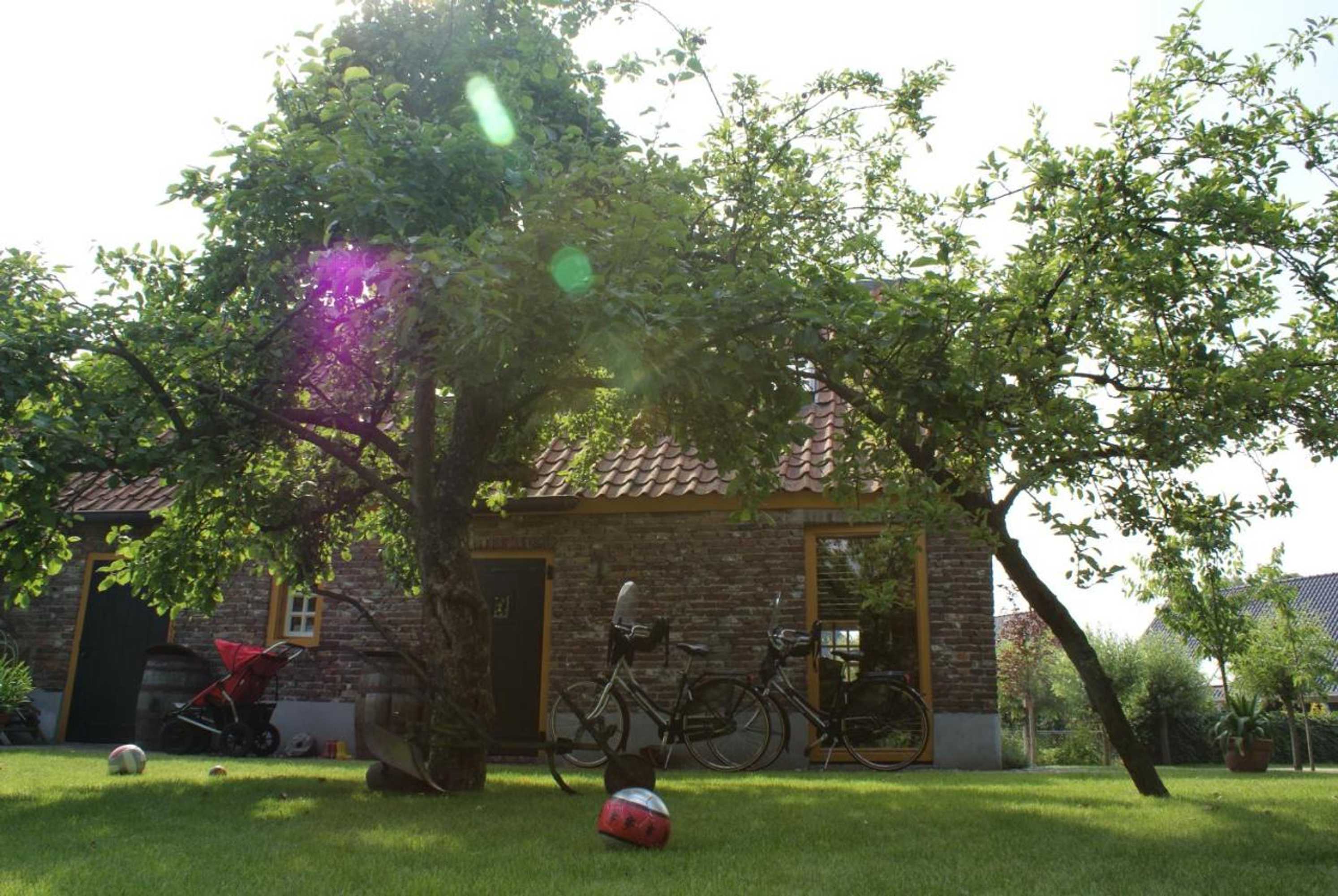 Gift card for Cultuurlogies Looeind