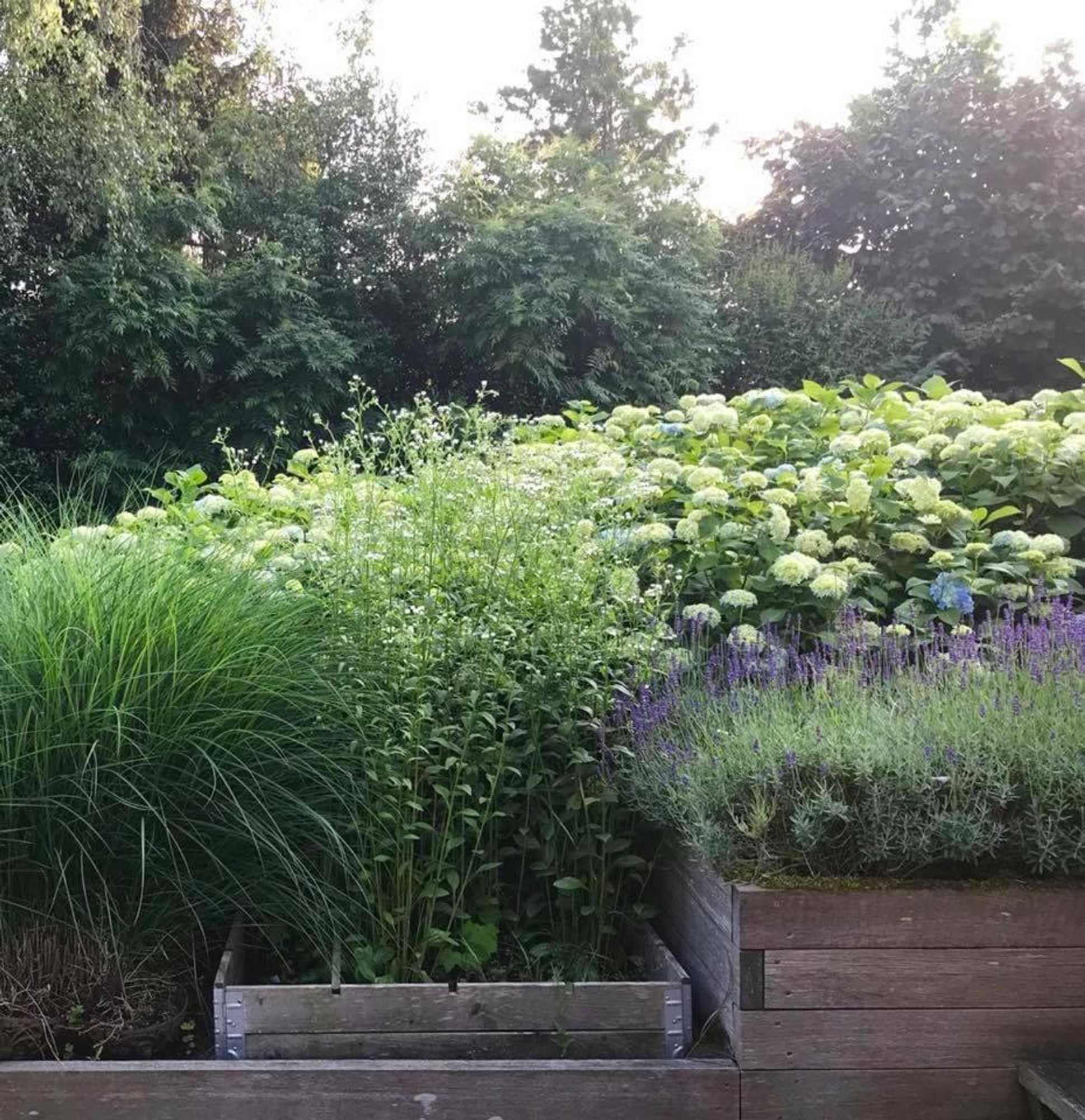 Gift card for Bed And Breakfast De Paalberg