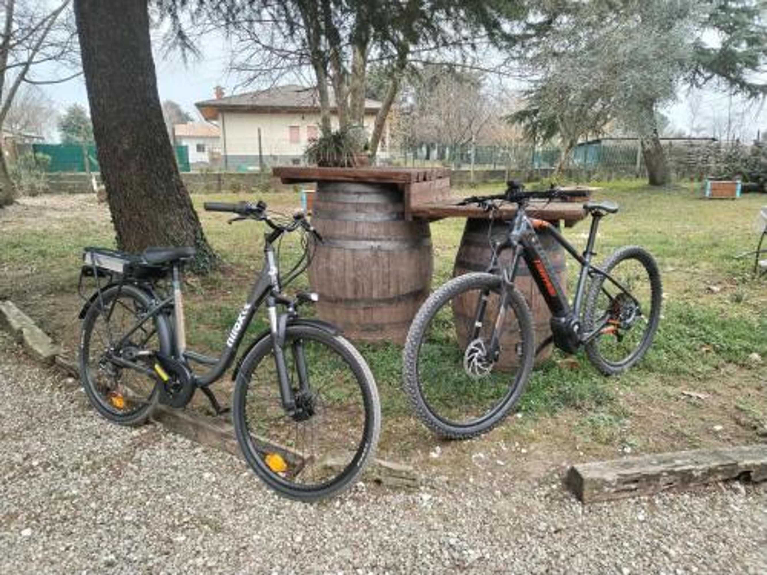 Gift card for Agriturismo Le Oche Selvatiche Gift card for Agriturismo Le Oche Selvatiche