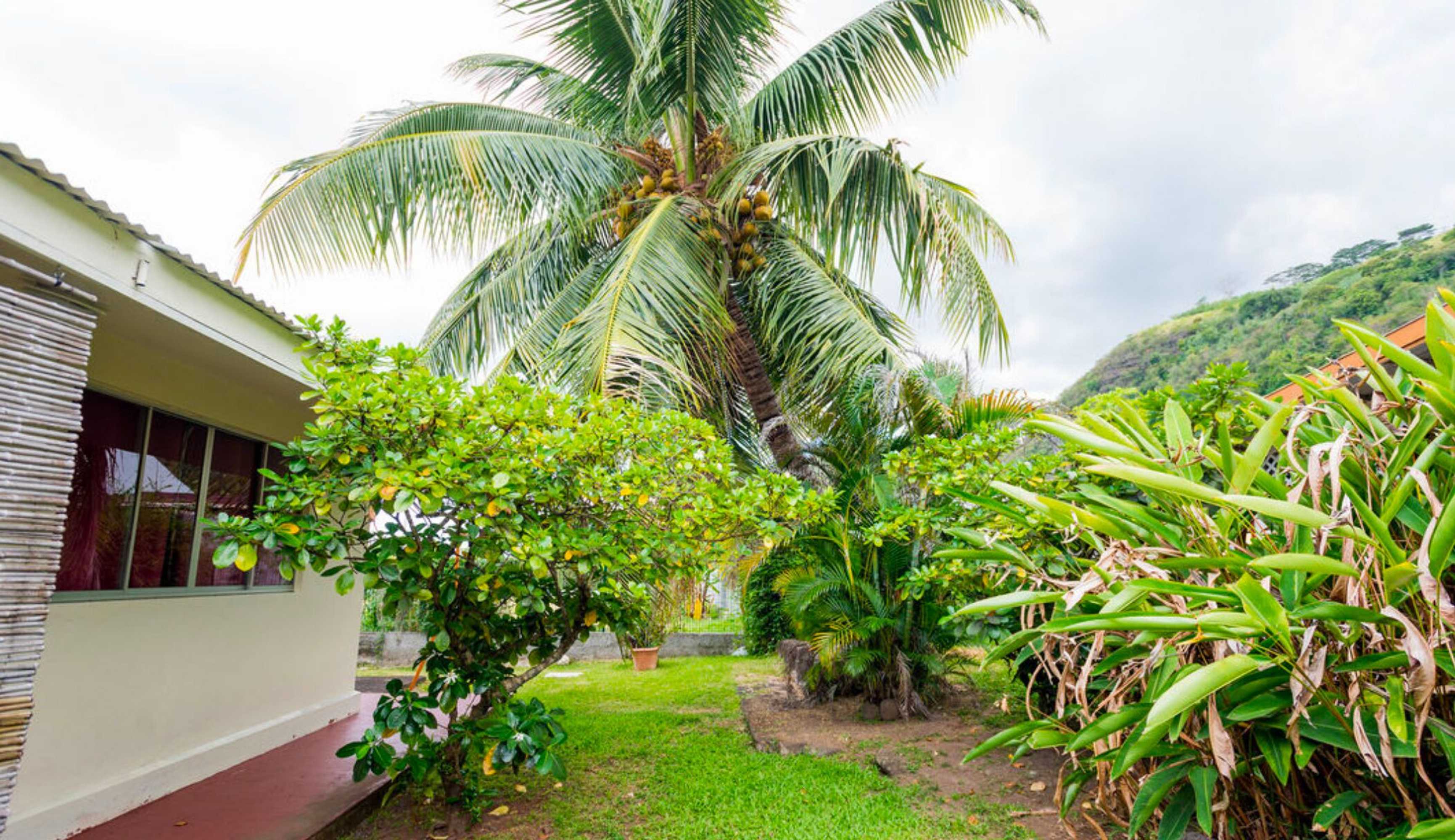 Gift card for Pension TE Miti - Plage-Beach 200m - Mahana Parc & Vaiava Beach Pk18 - B&b Chambres ou Dortoir Gift card for Pension TE Miti - Plage-Beach 200m - Mahana Parc & Vaiava Beach Pk18 - B&b Chambres ou Dortoir