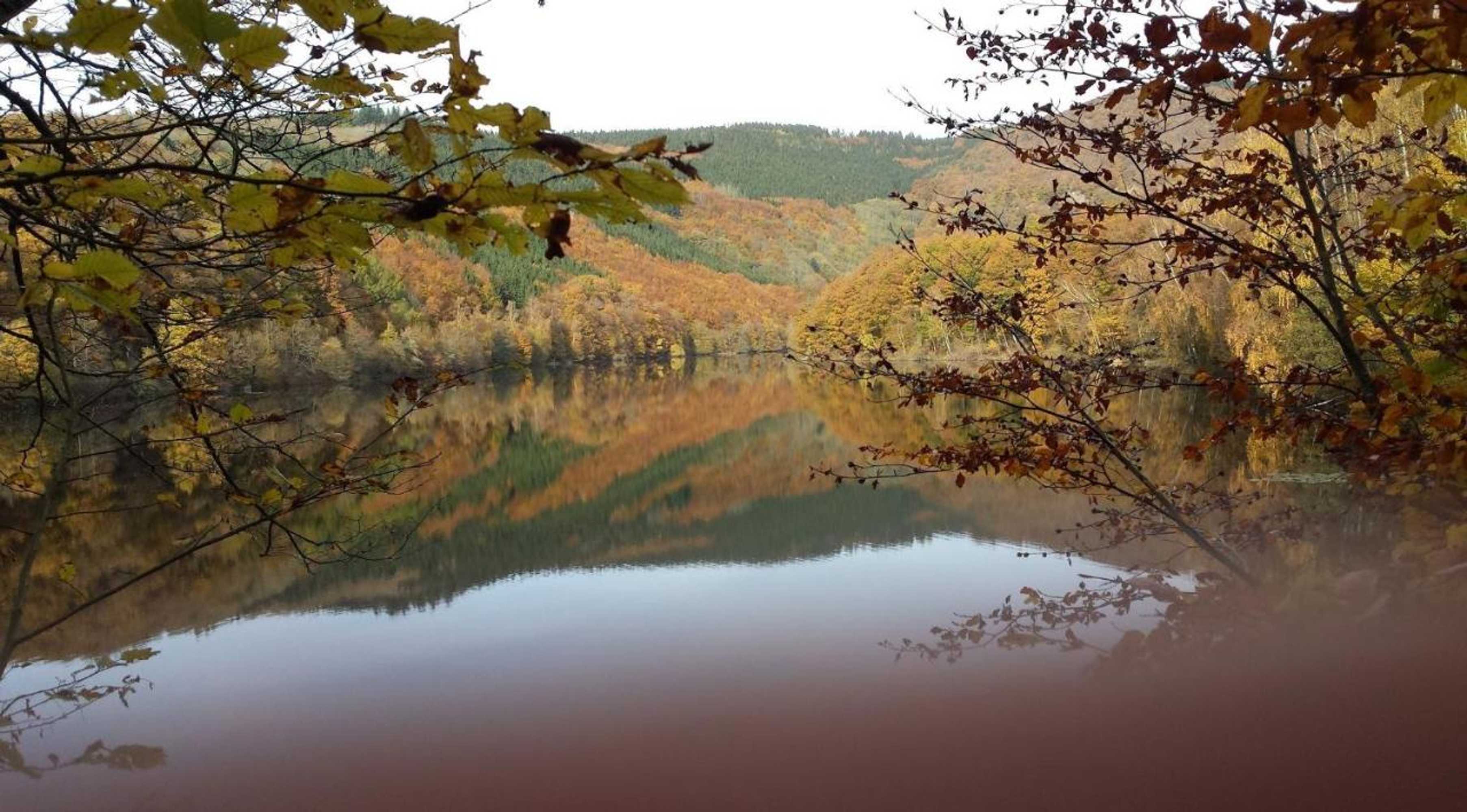 Gift card for Eifellounge