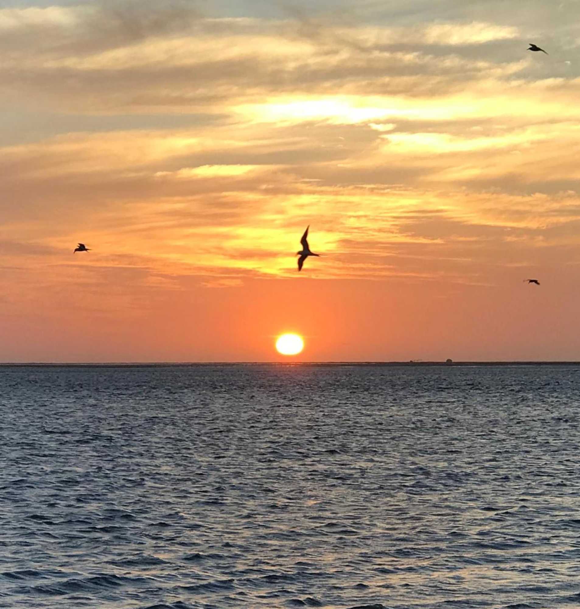 Gift card for Lala Lodge Pemba Zanzibar