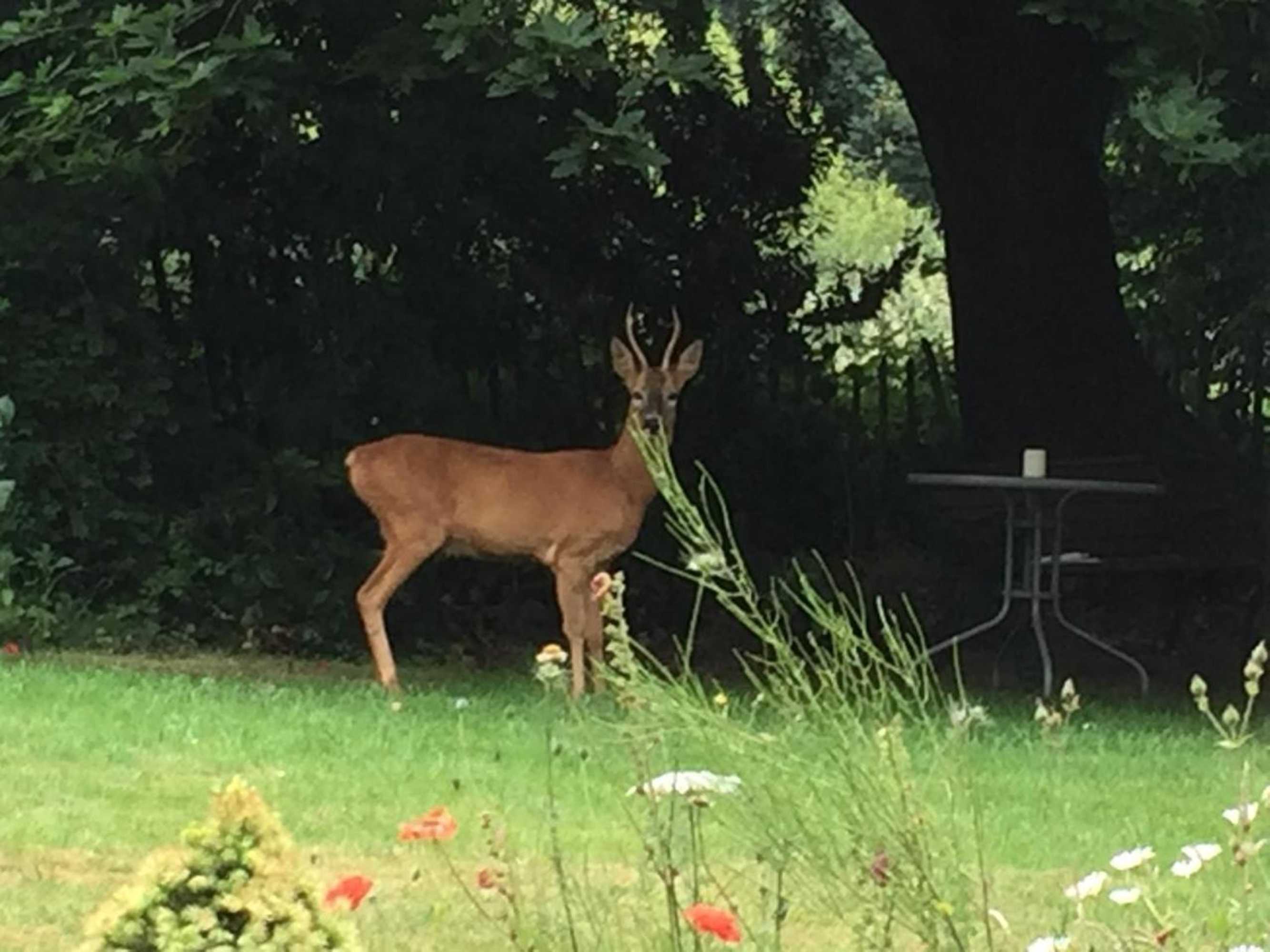 Gift card for Heronshaw House