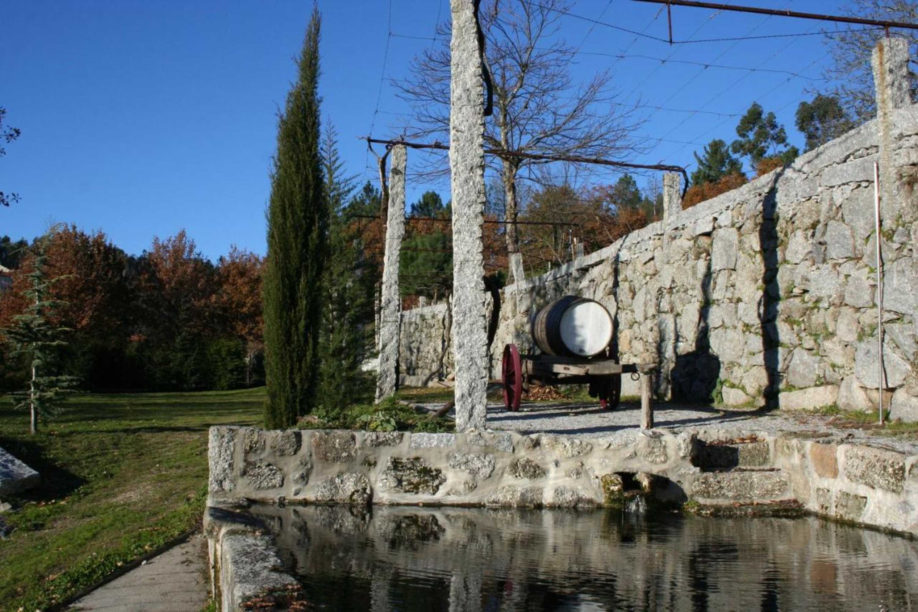 Gift card for Cazal Da Lamella