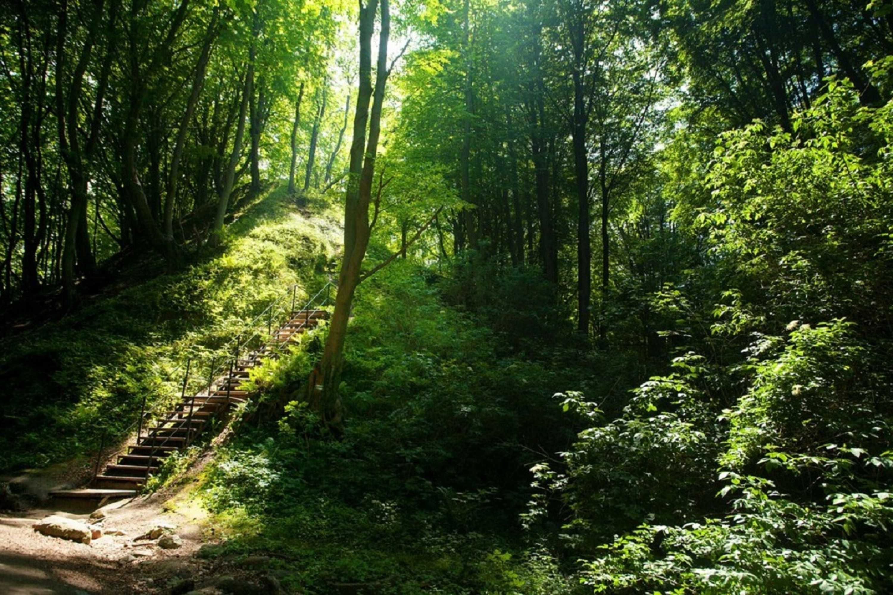 Gift card for Kaskada Spa & Comfort Willa