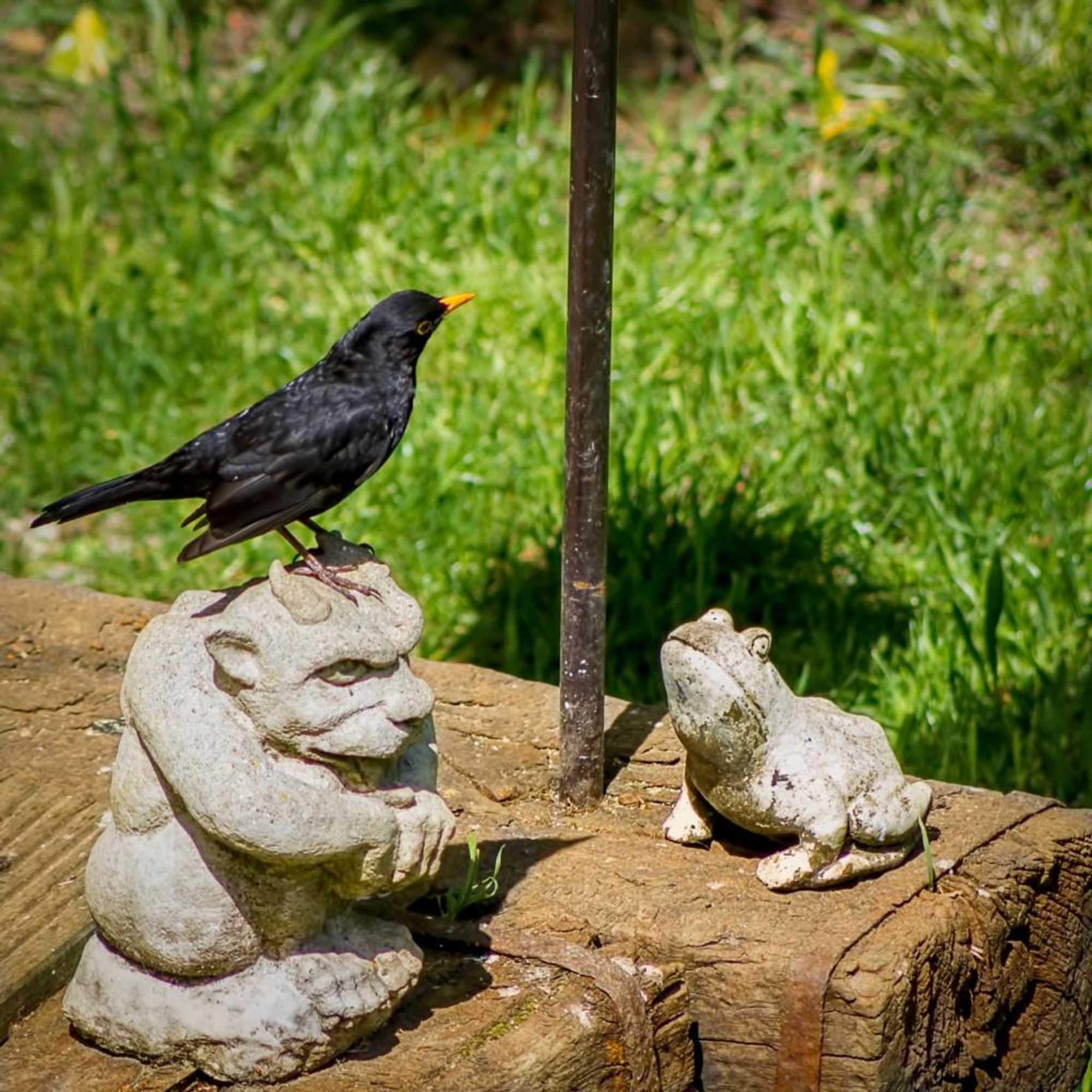 Gift card for Pretty Maid House B&b