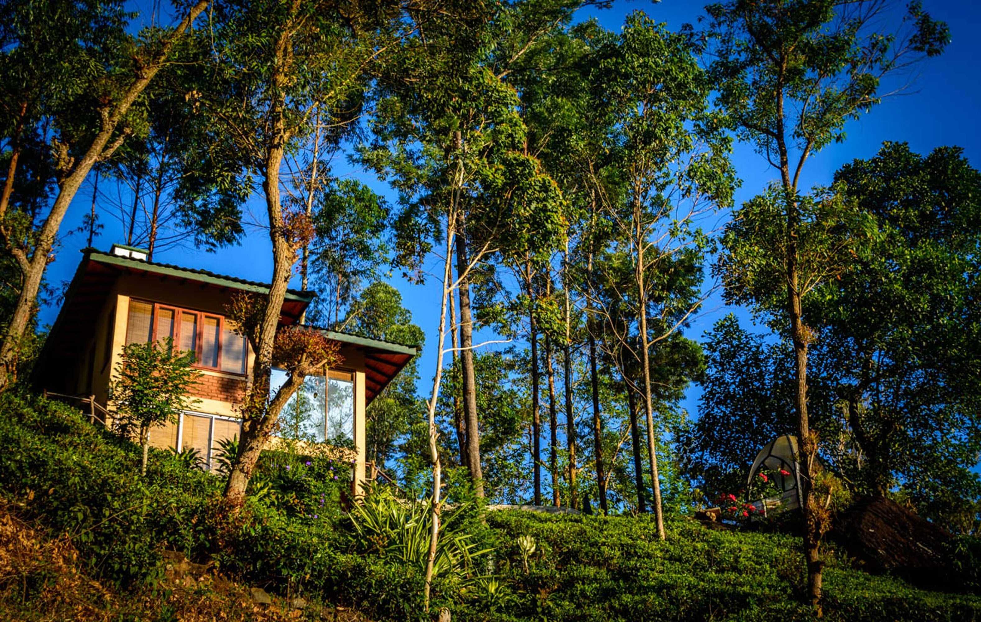Gift card for The Tea Cottage Resort & Spa Gift card for The Tea Cottage Resort & Spa