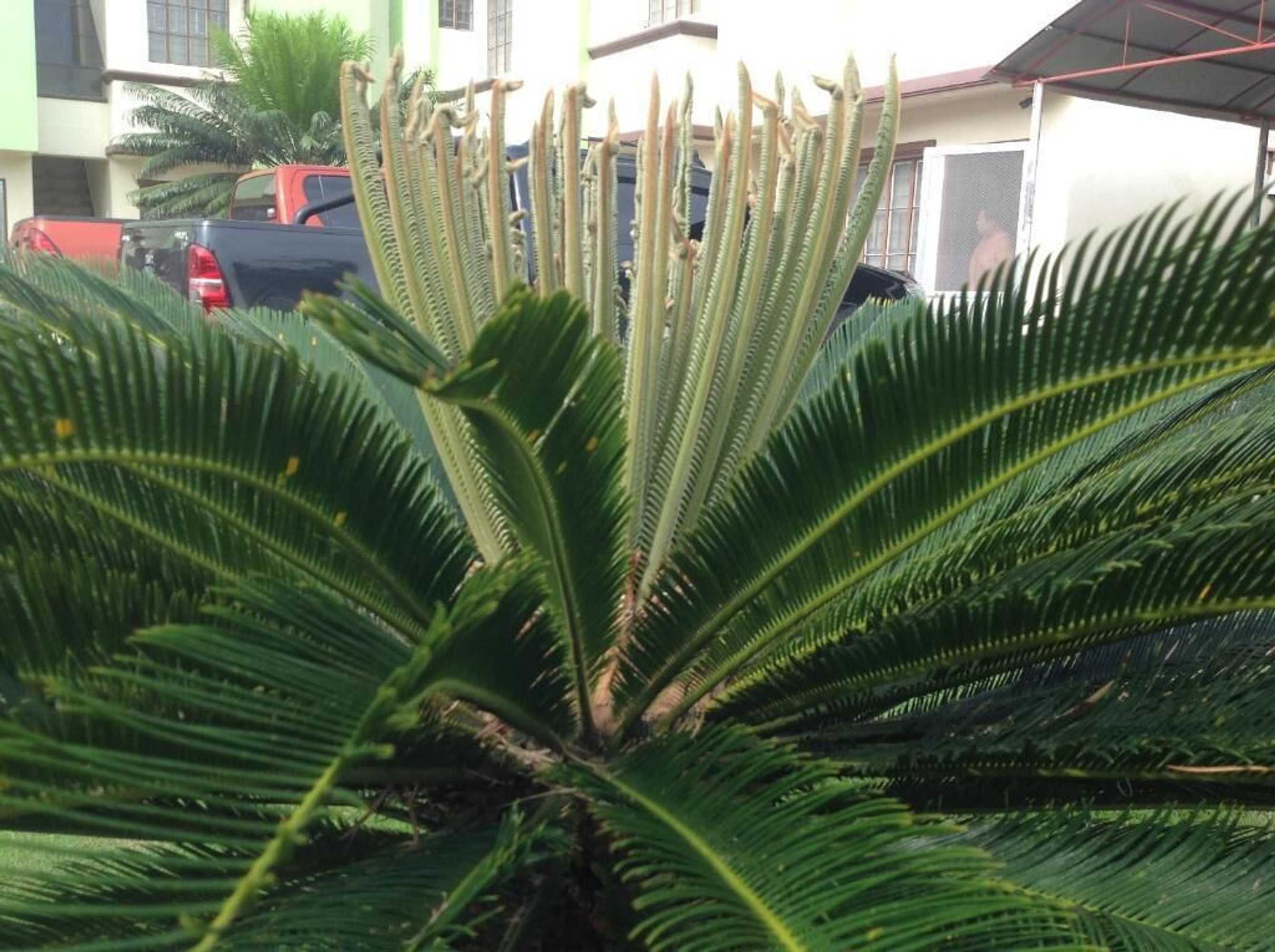 Gift card for Danel Pensionne House