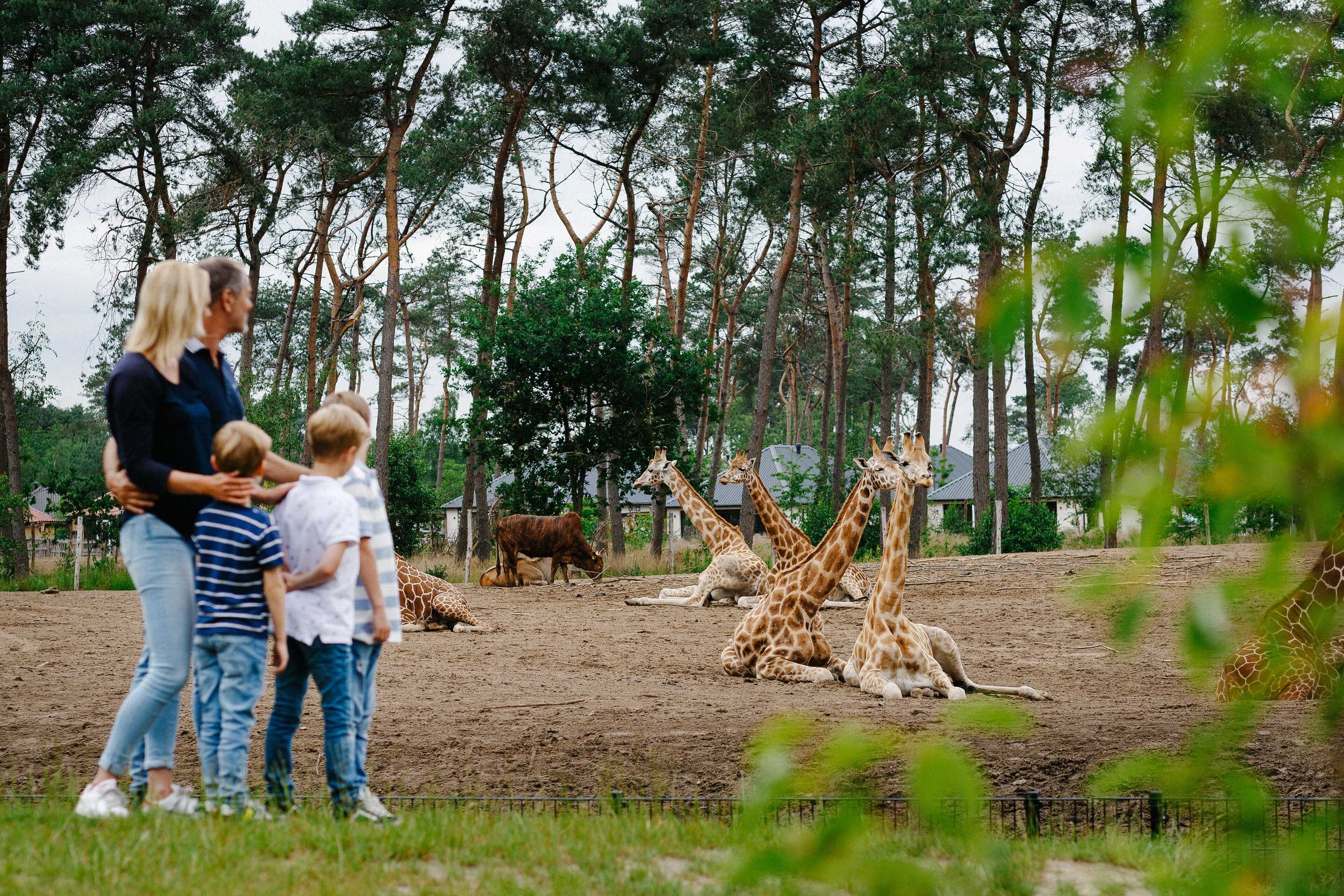 Gift card for Safari Resort Beekse Bergen Gift card for Safari Resort Beekse Bergen