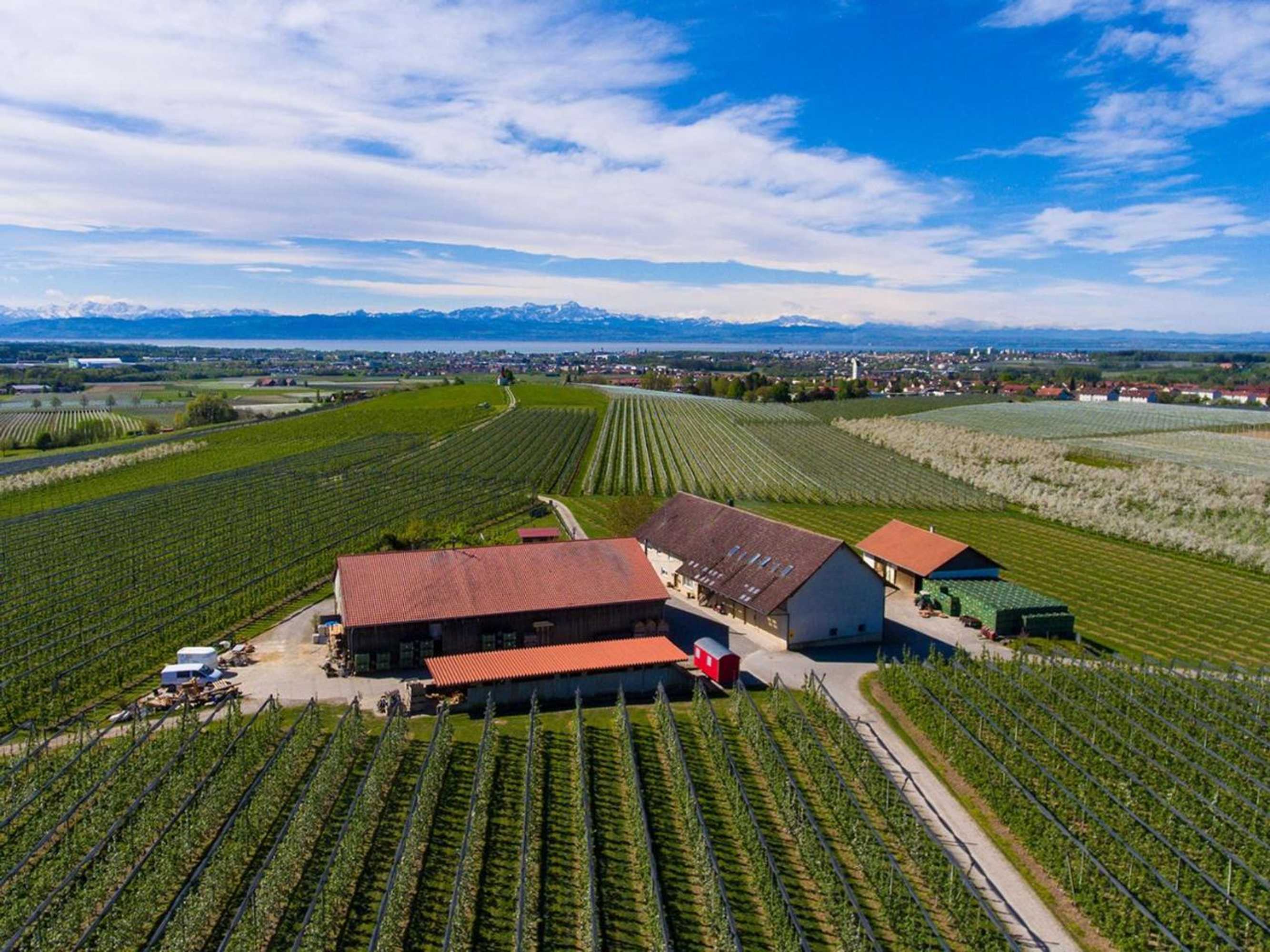 Gift card for Höhlerhof