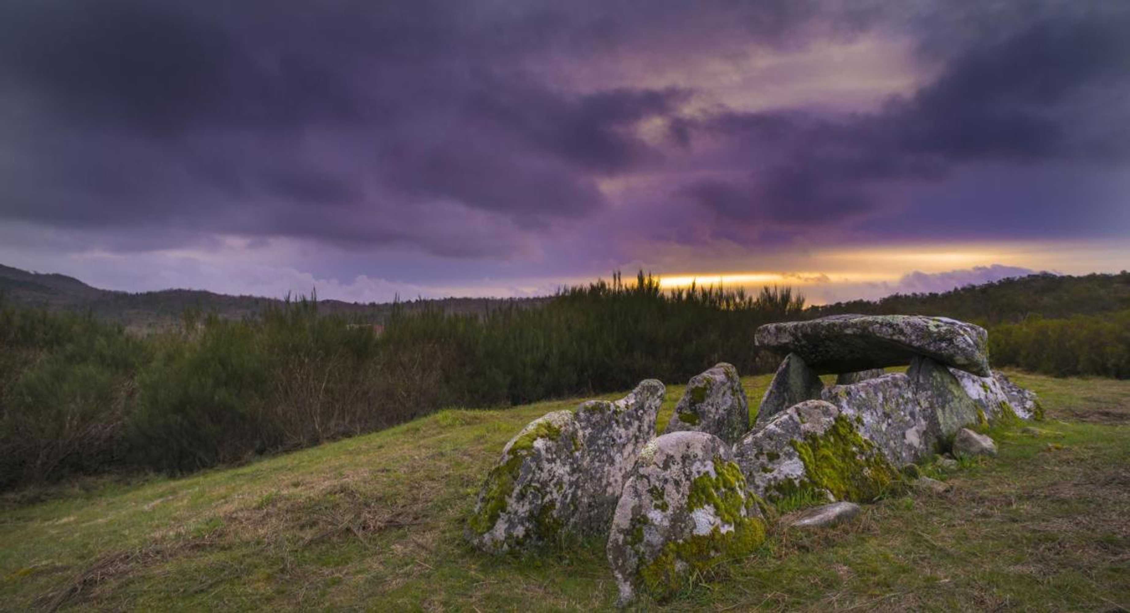 Gift card for Quinta do Fontelo