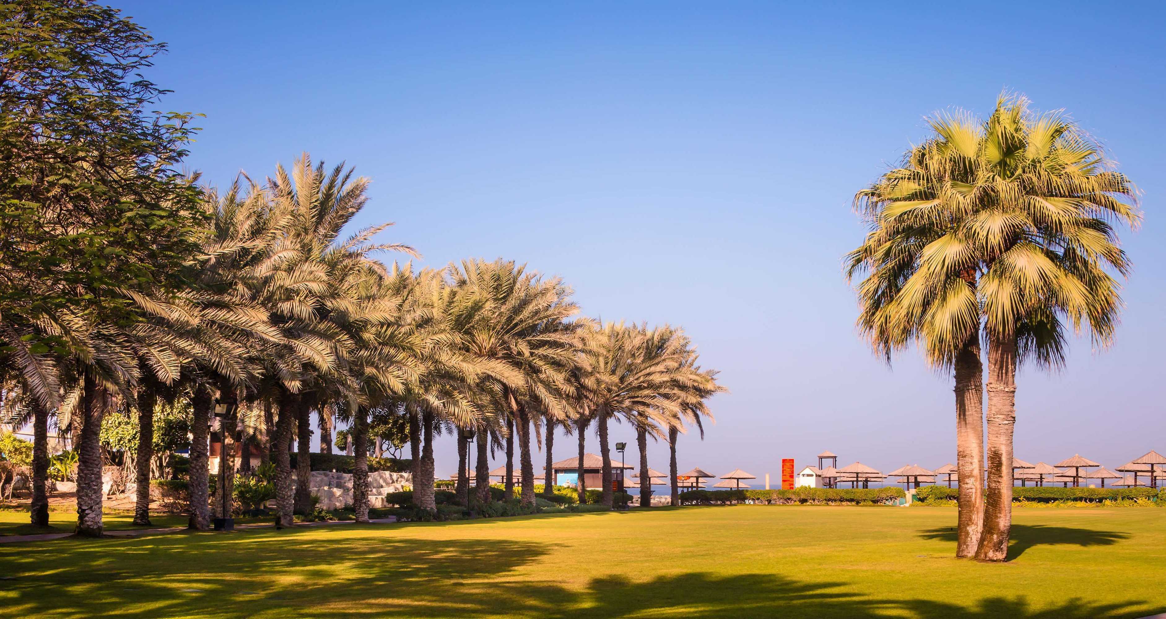 Gift card for Coral Beach Resort - Sharjah Gift card for Coral Beach Resort - Sharjah