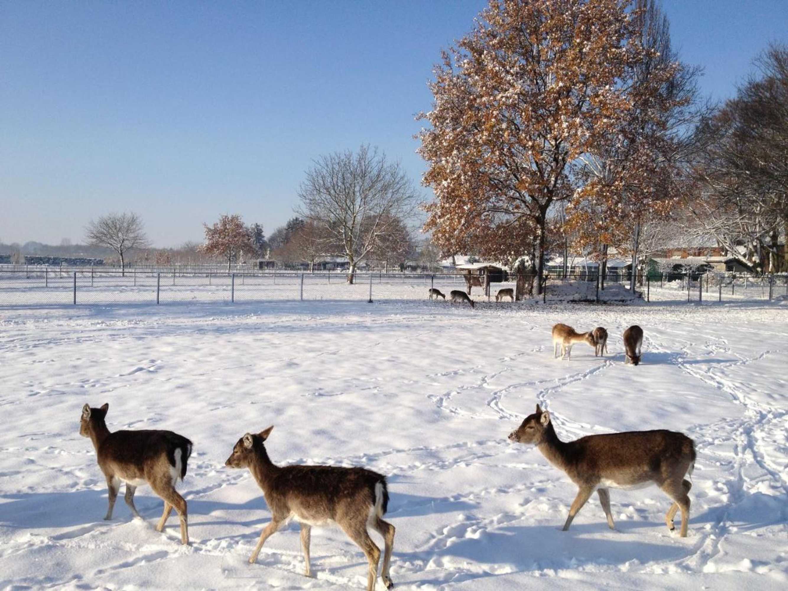 Gift card for B&b Roodbeekerhof