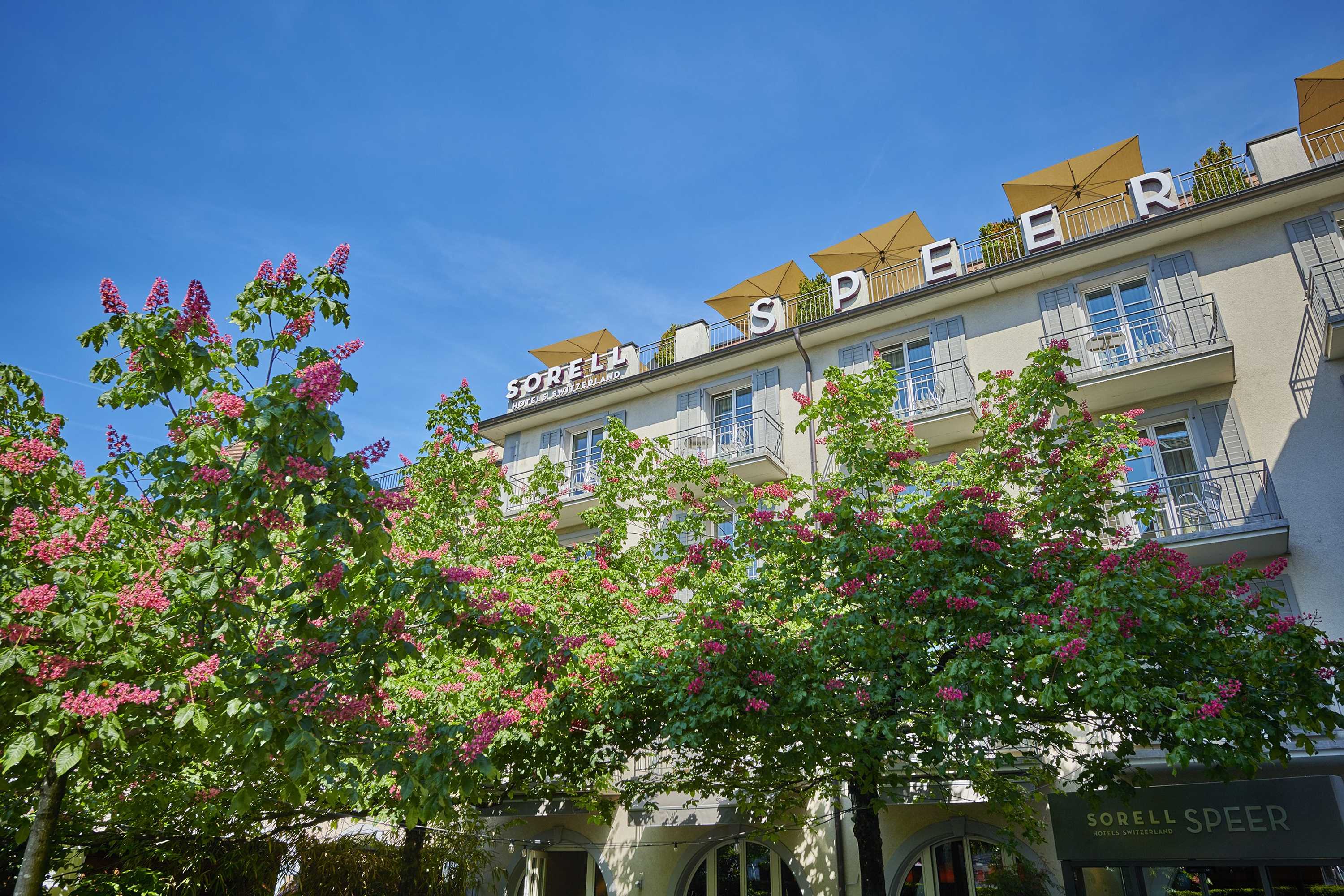 Gift card for Sorell Boutique-Hotel Speer Rapperswil