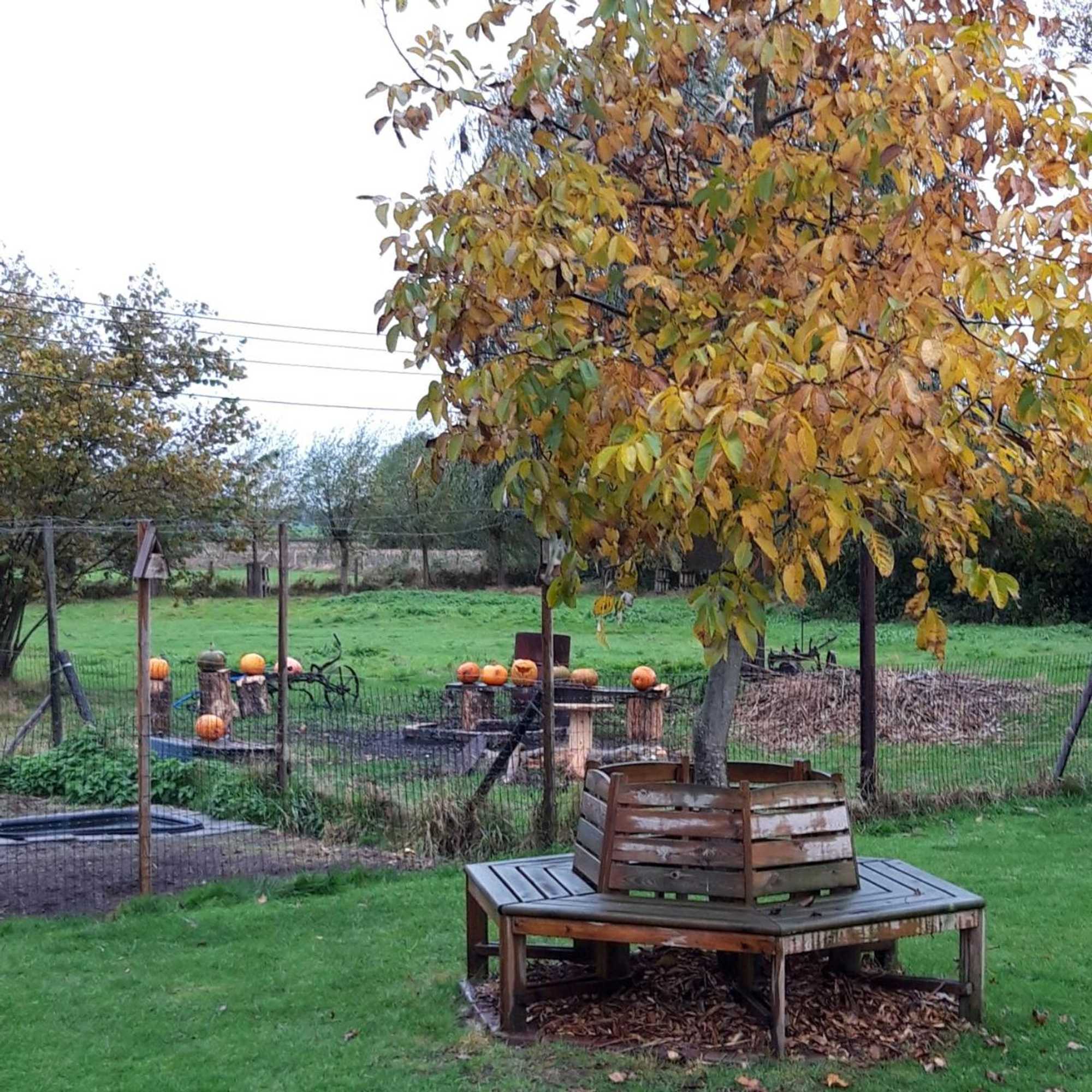 Gift card for Bed en Breakfast Donkersvoort