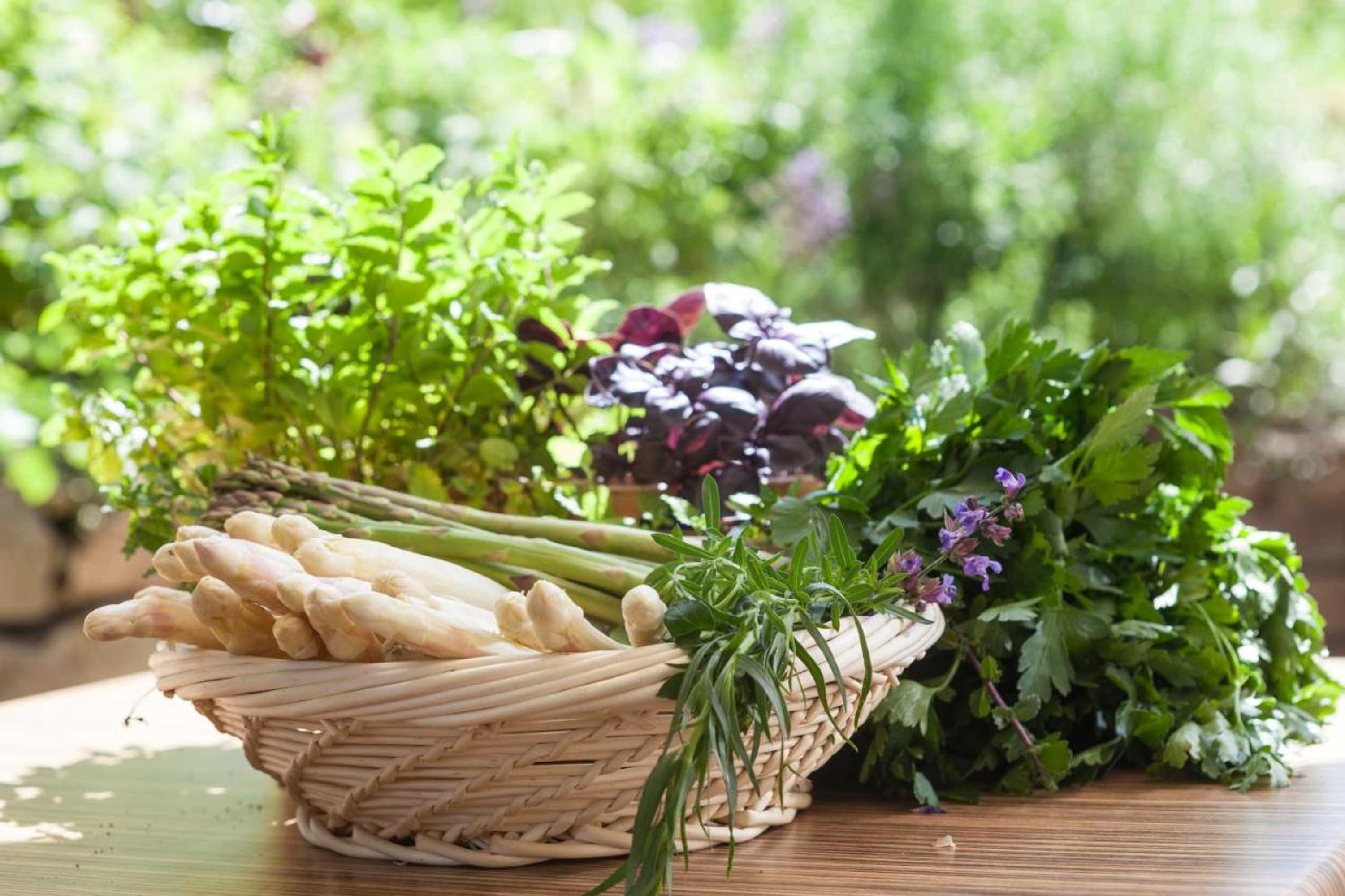 Gift card for Alemannenhof