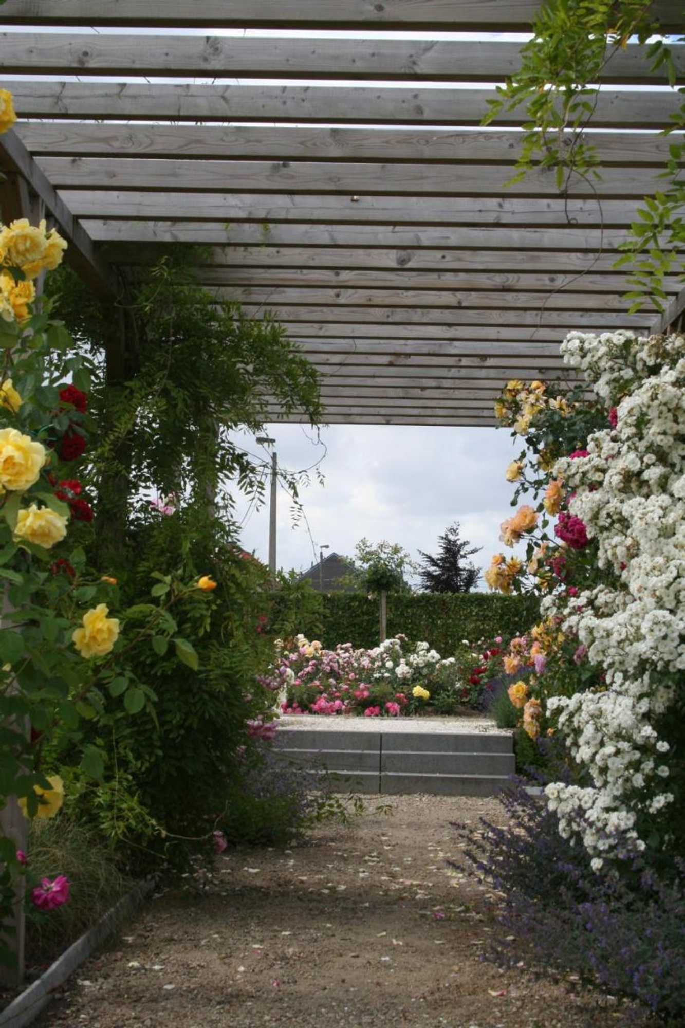 Gift card for B&b La Vie En Roses