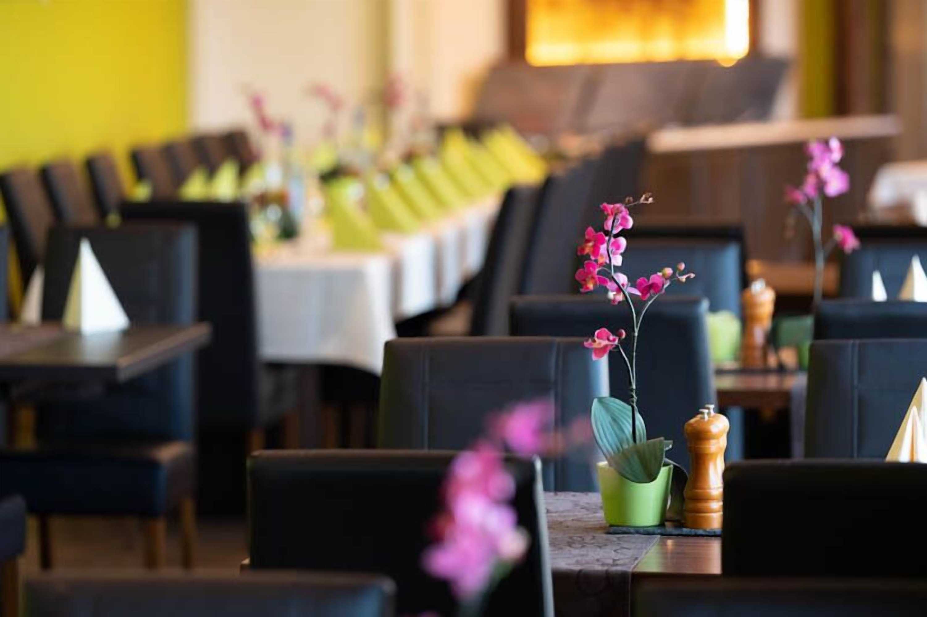 Gift card for Domäne am See