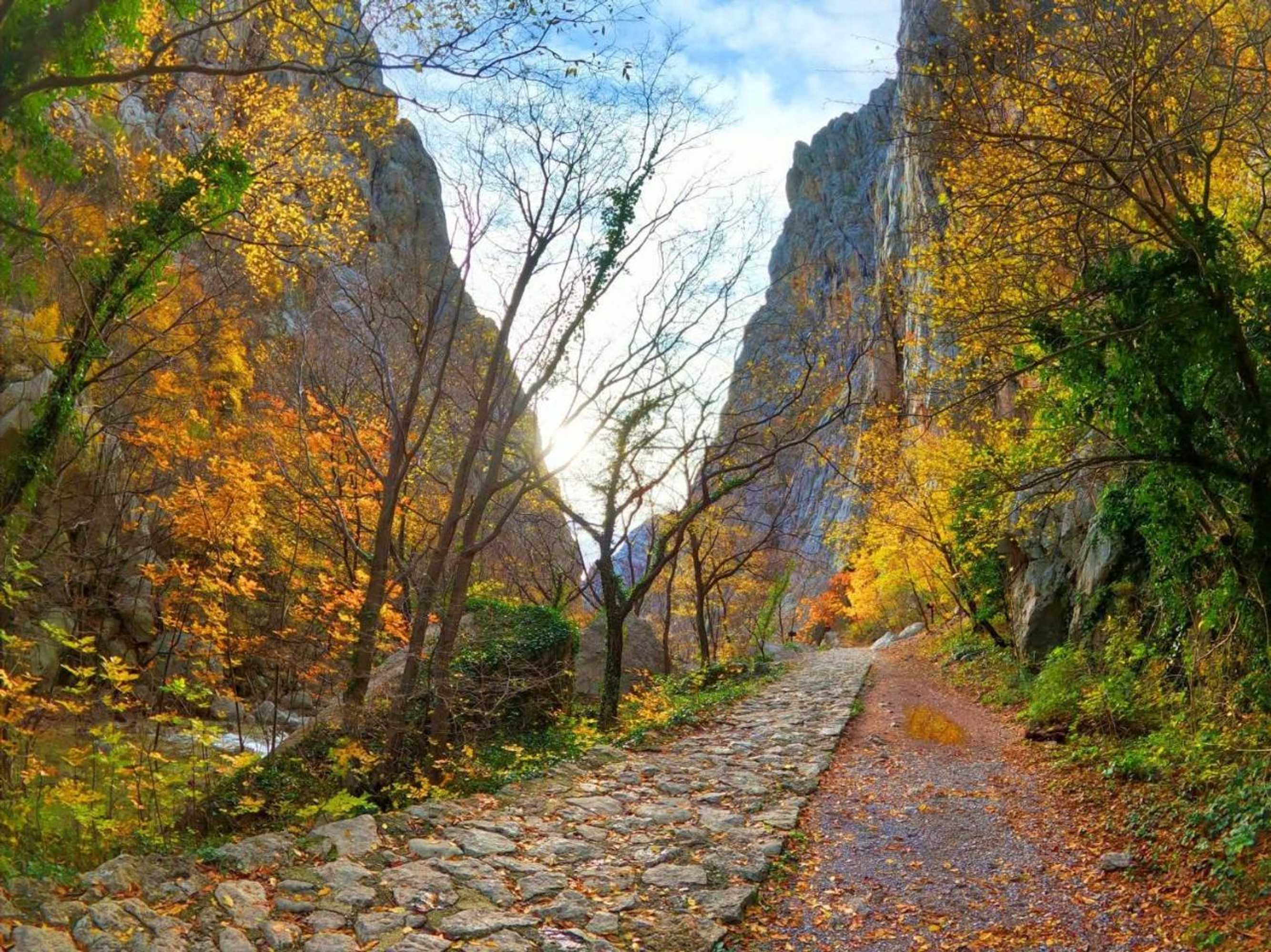 Gift card for Apartments Lana