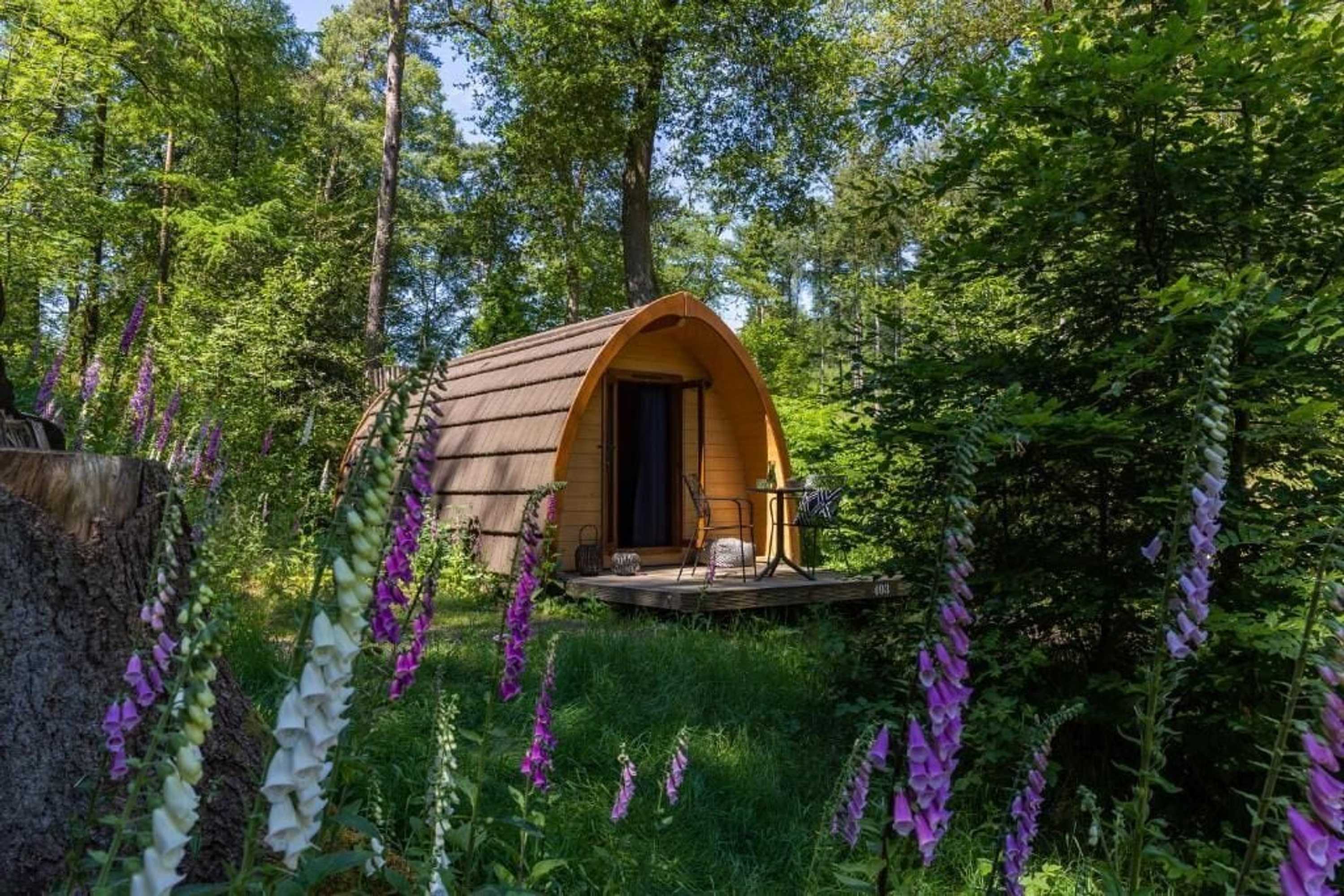 Gift card for Buitenplaats Beekhuizen