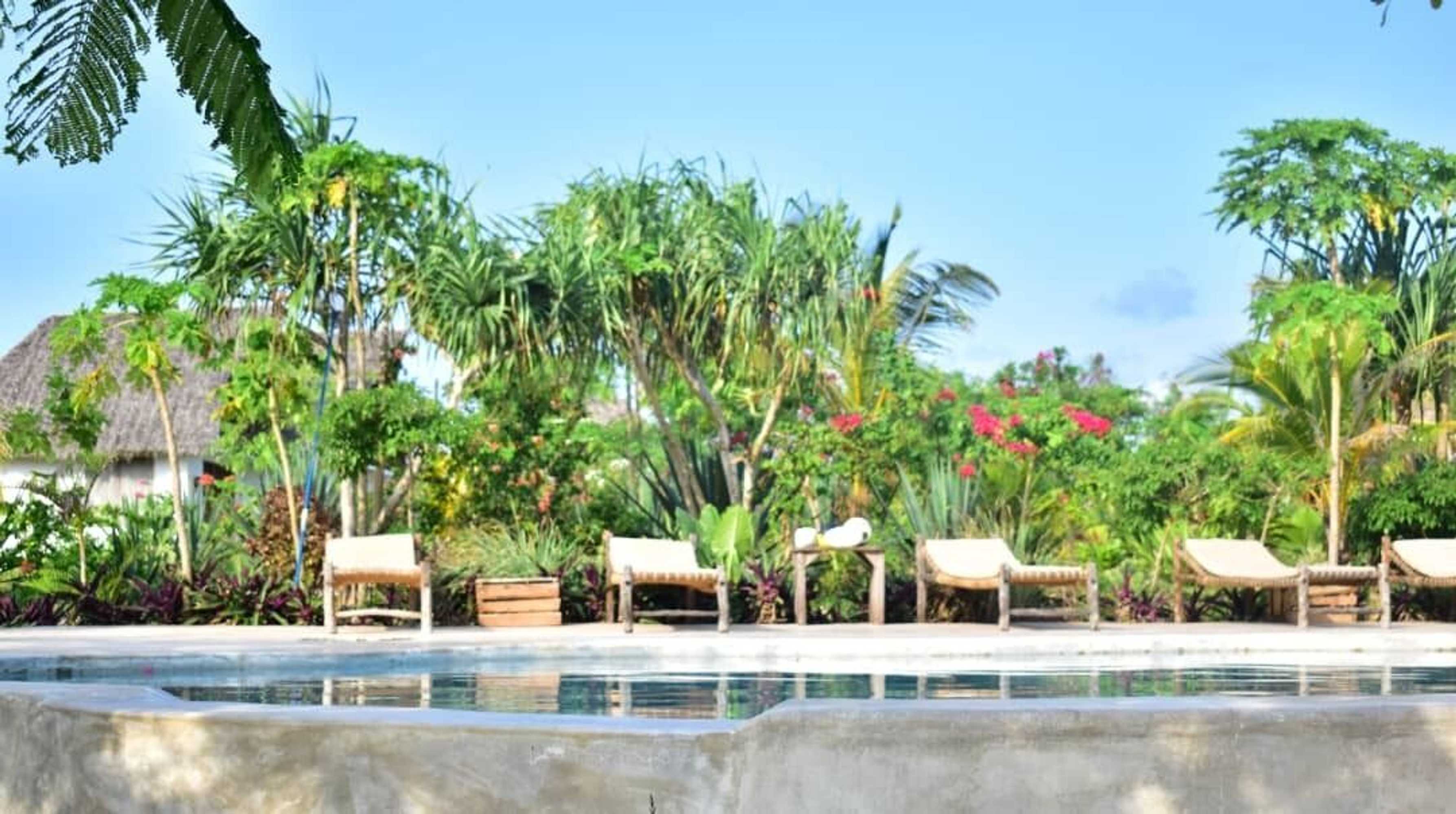 Gift card for Kusini Beach Bungalows Gift card for Kusini Beach Bungalows
