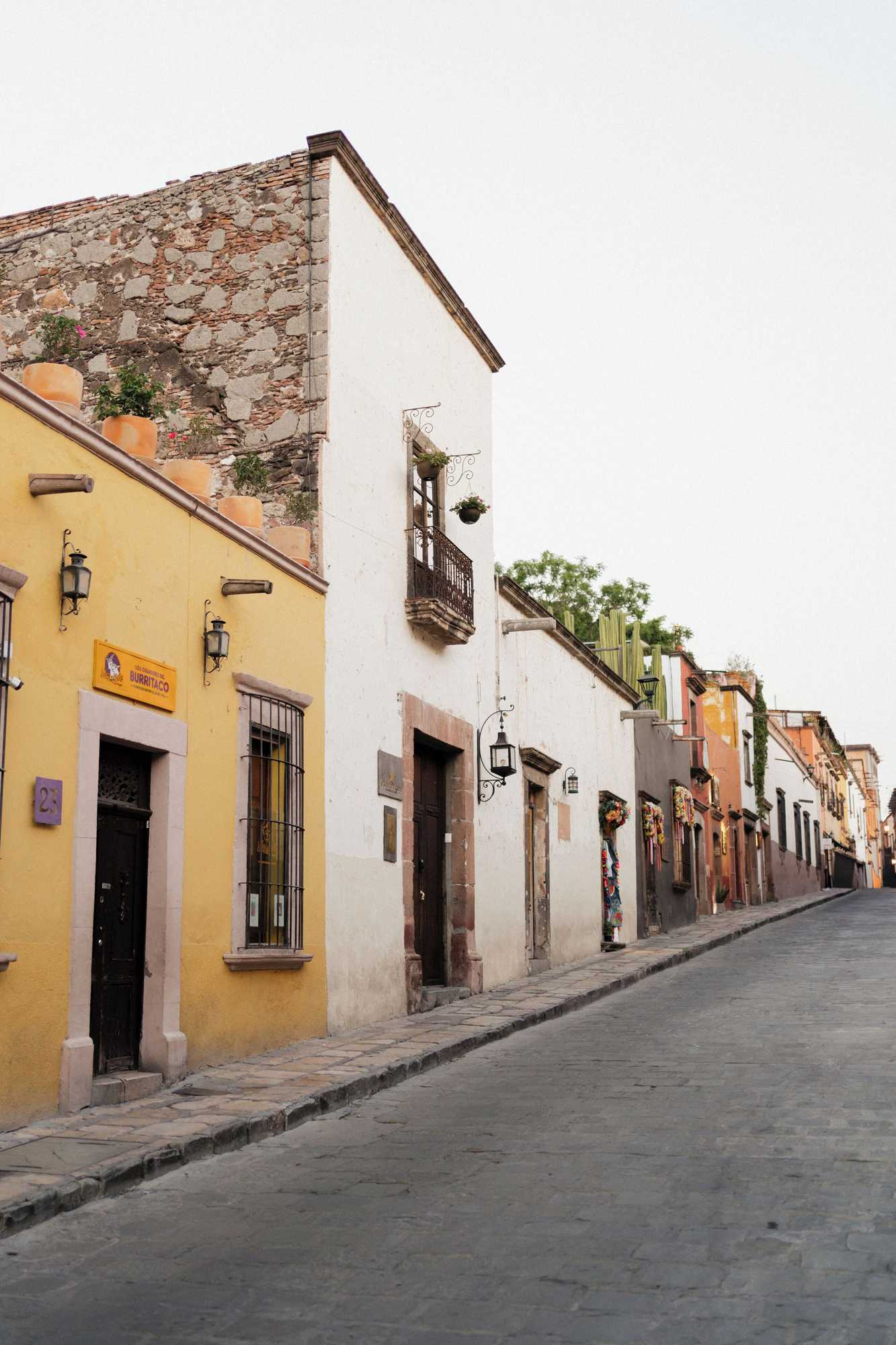 Gift card for Orchid House San Miguel de Allende Gift card for Orchid House San Miguel de Allende