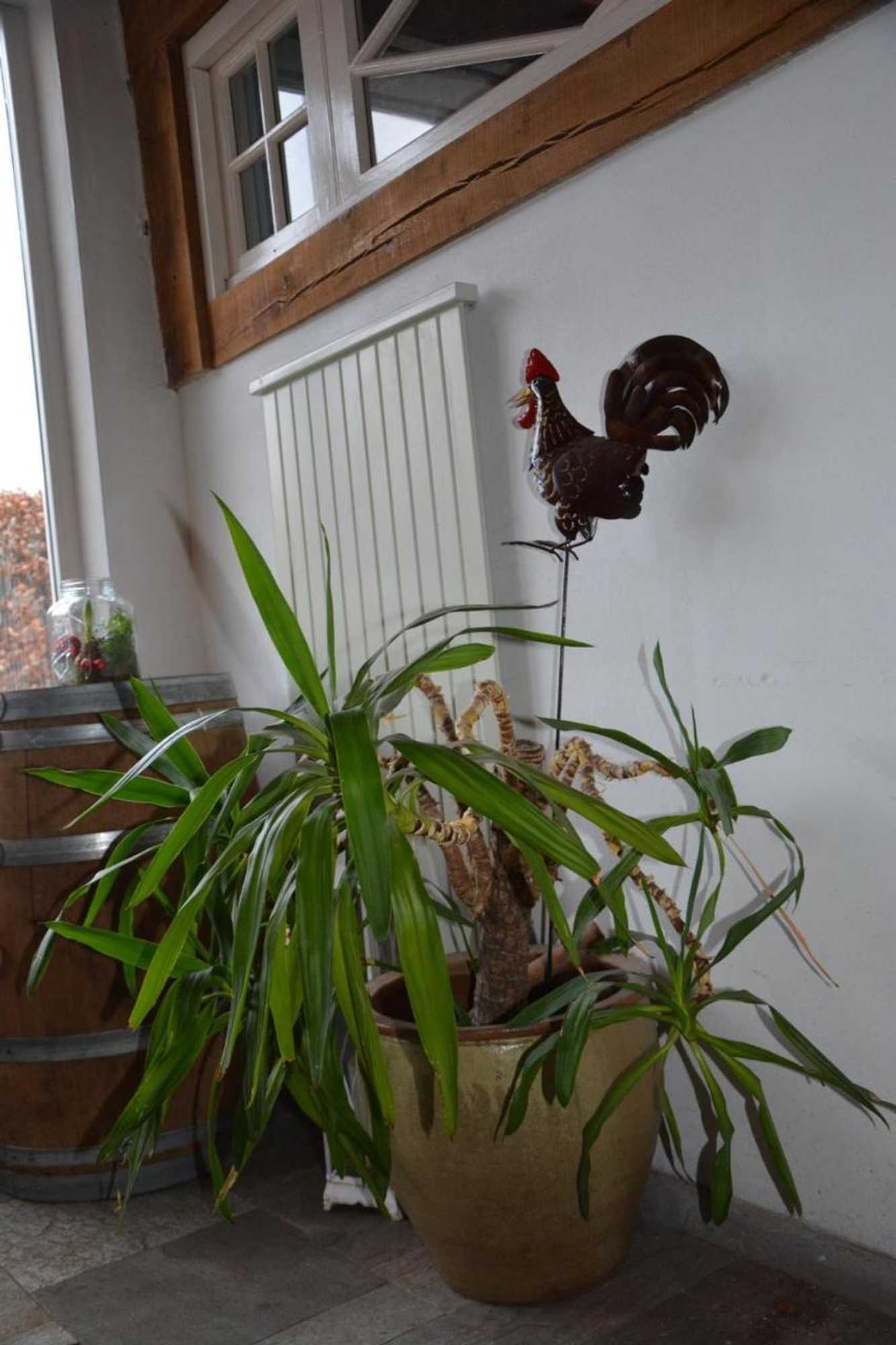 Gift card for B&b Kelpiebrink