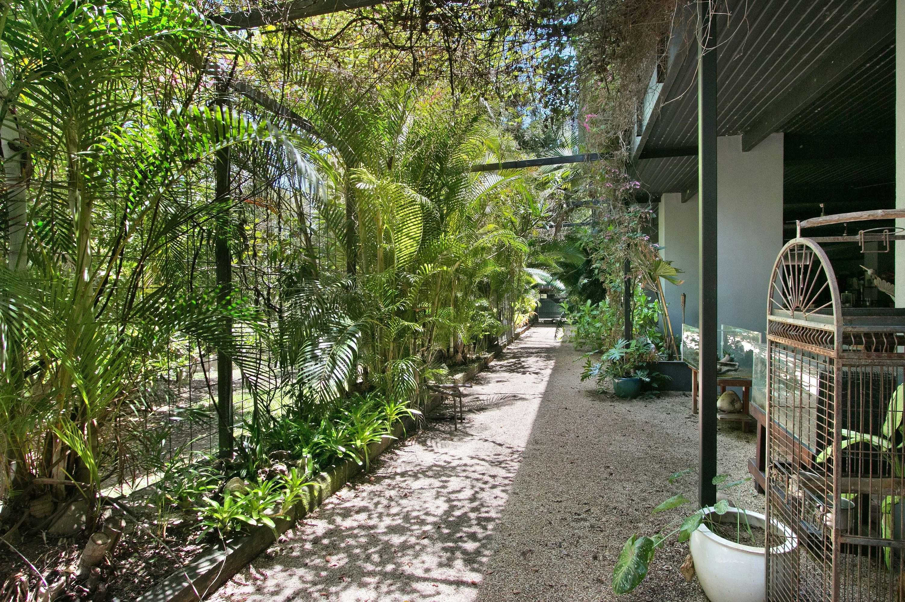 Gift card for Daintree Wild Zoo & B&b Gift card for Daintree Wild Zoo & B&b