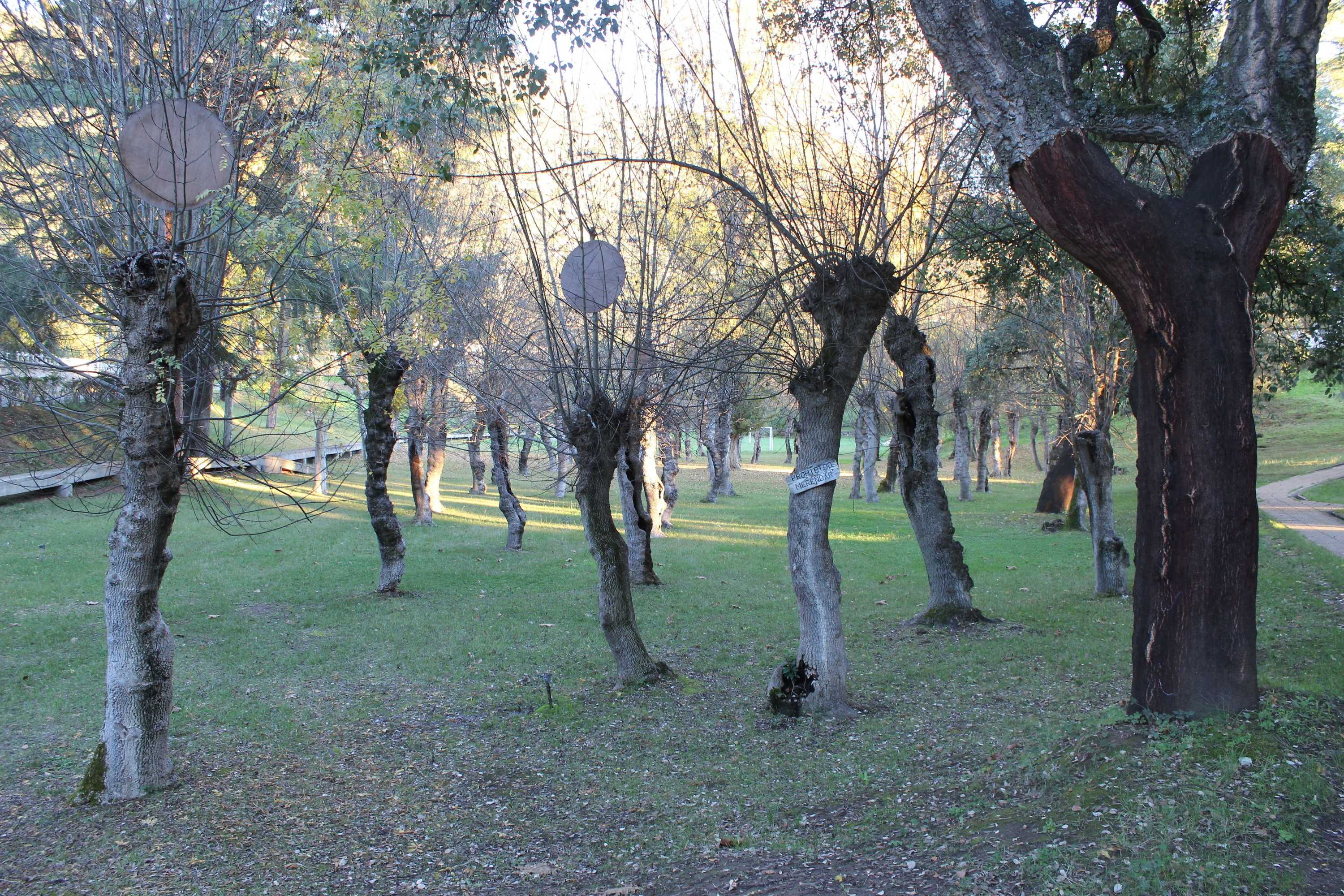 Gift card for Casas Rurales Aldeaduero