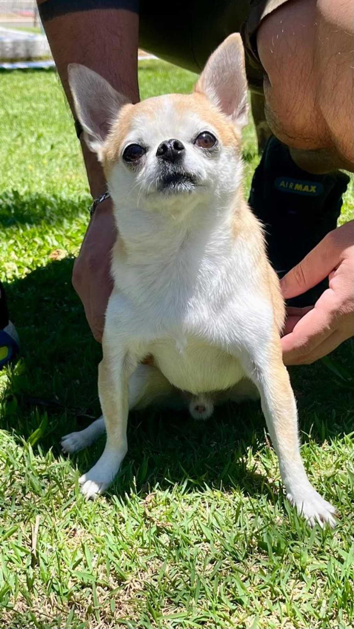 Gift card for Hotel Varandas do Sol