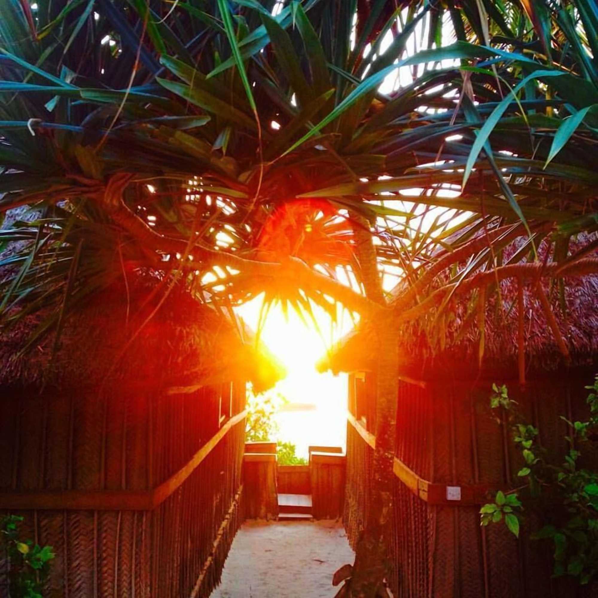 Gift card for Zanzibar Sunrise at Bandas