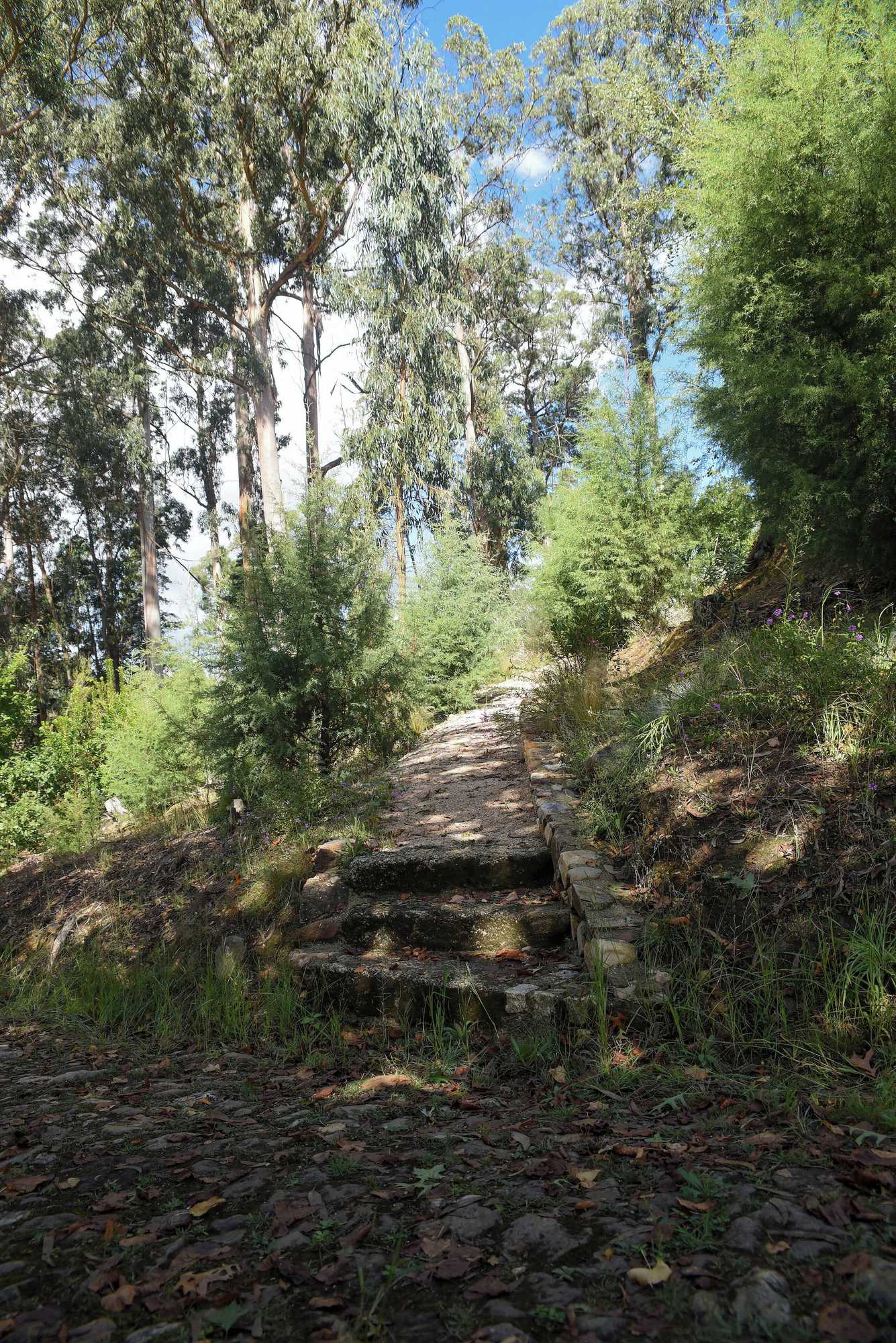 Gift card for Vumba - House of The Lizard