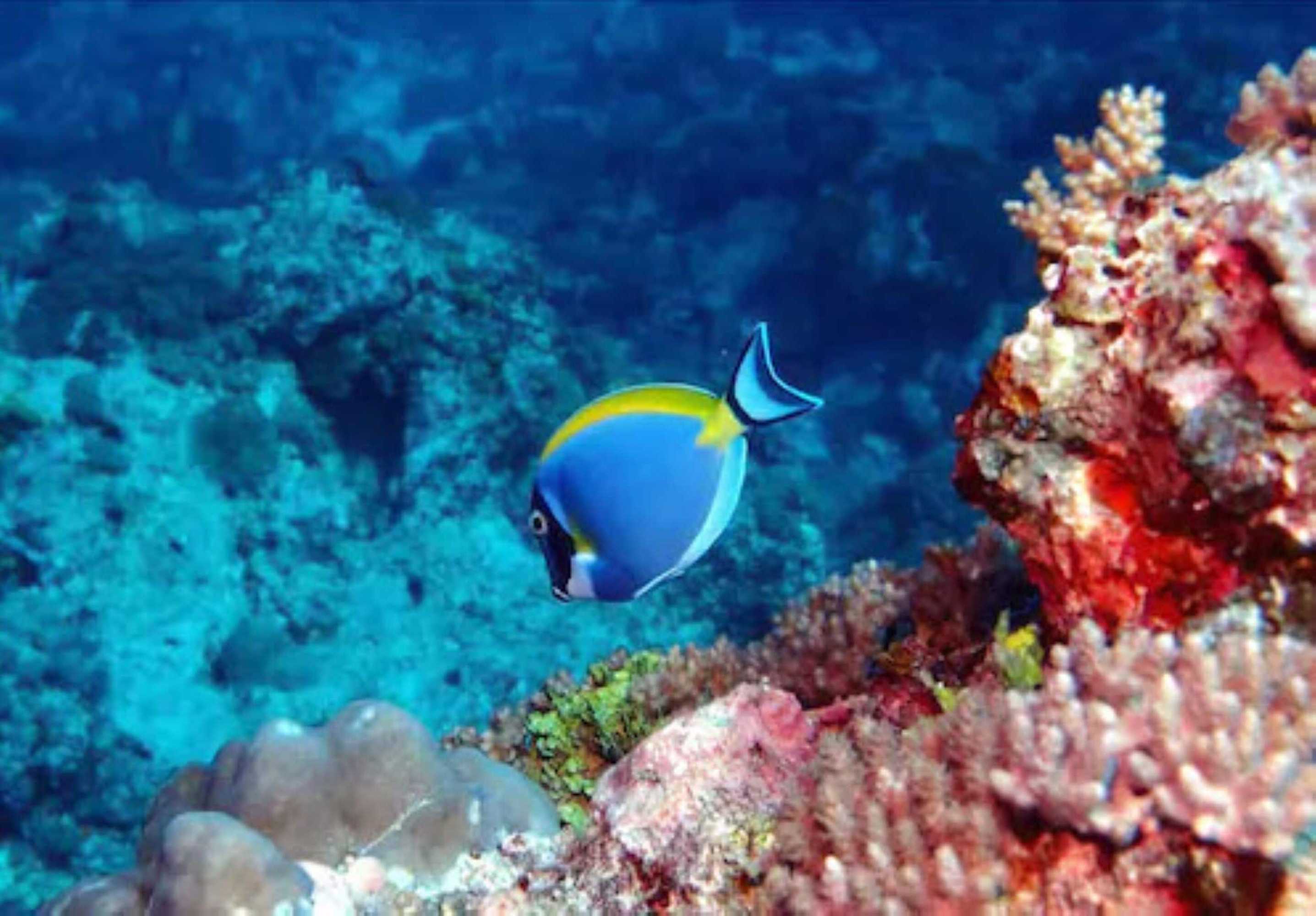 Gift card for Sunshine Marine Lodge