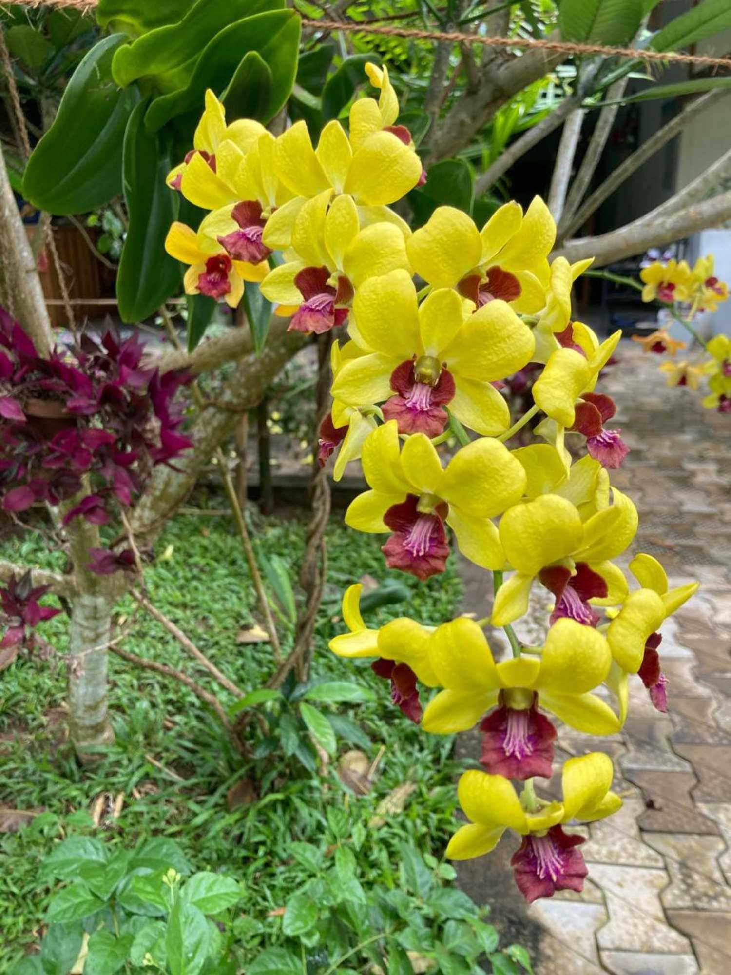 Gift card for Garden Villa Talalla