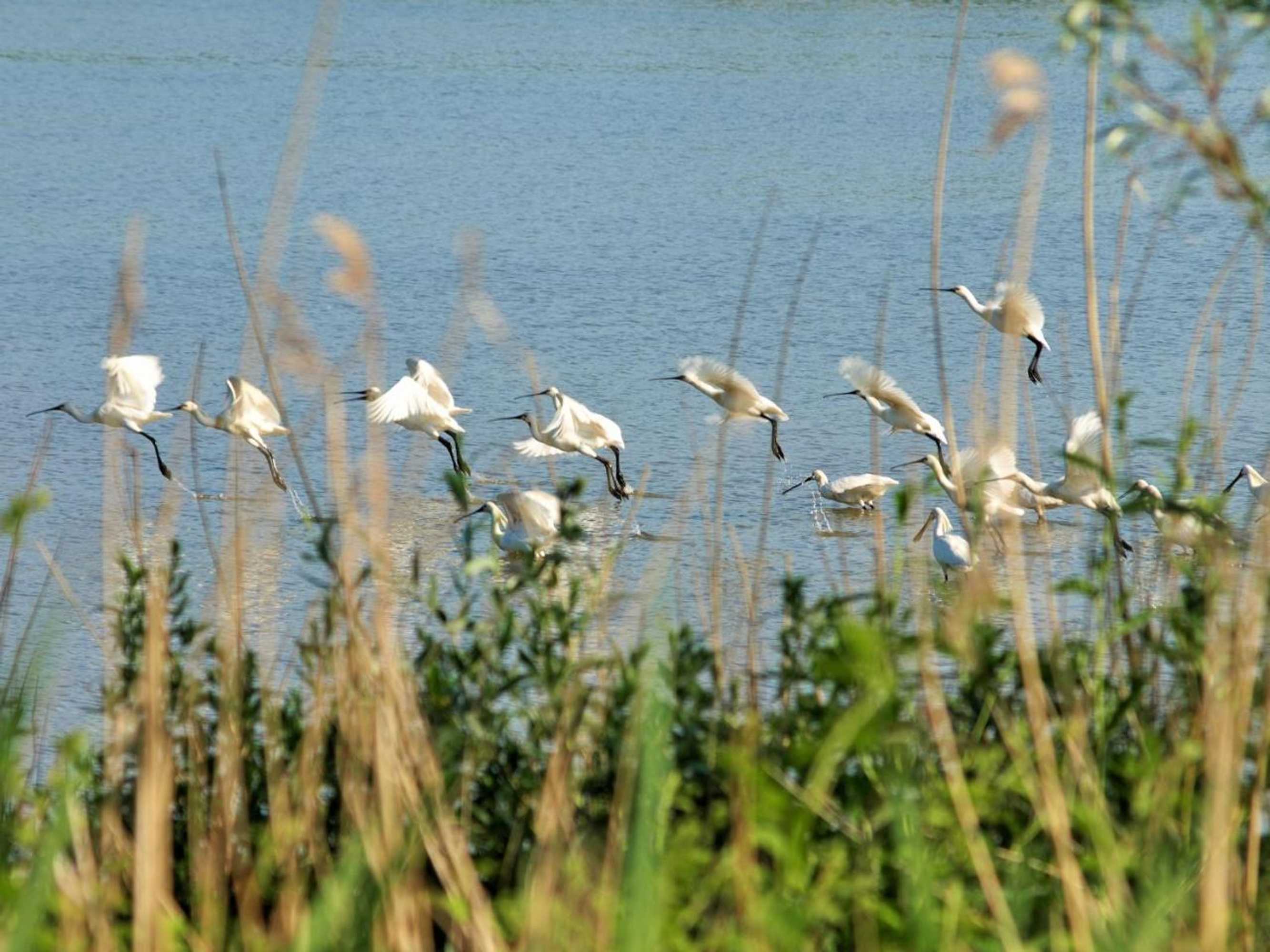 Gift card for Bed & Breakfast De Schuur Inn